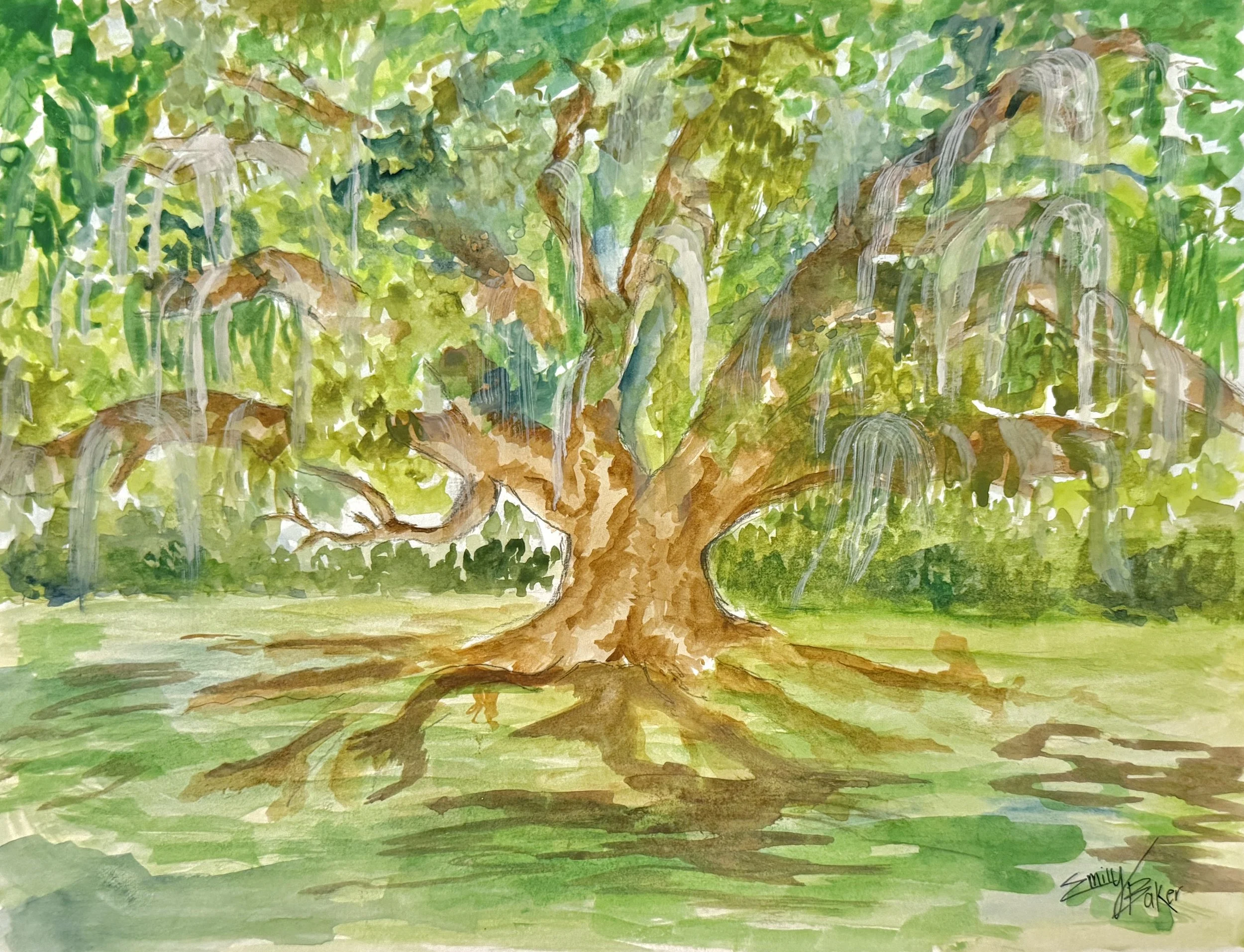 Timeless Spanish Moss_.jpg