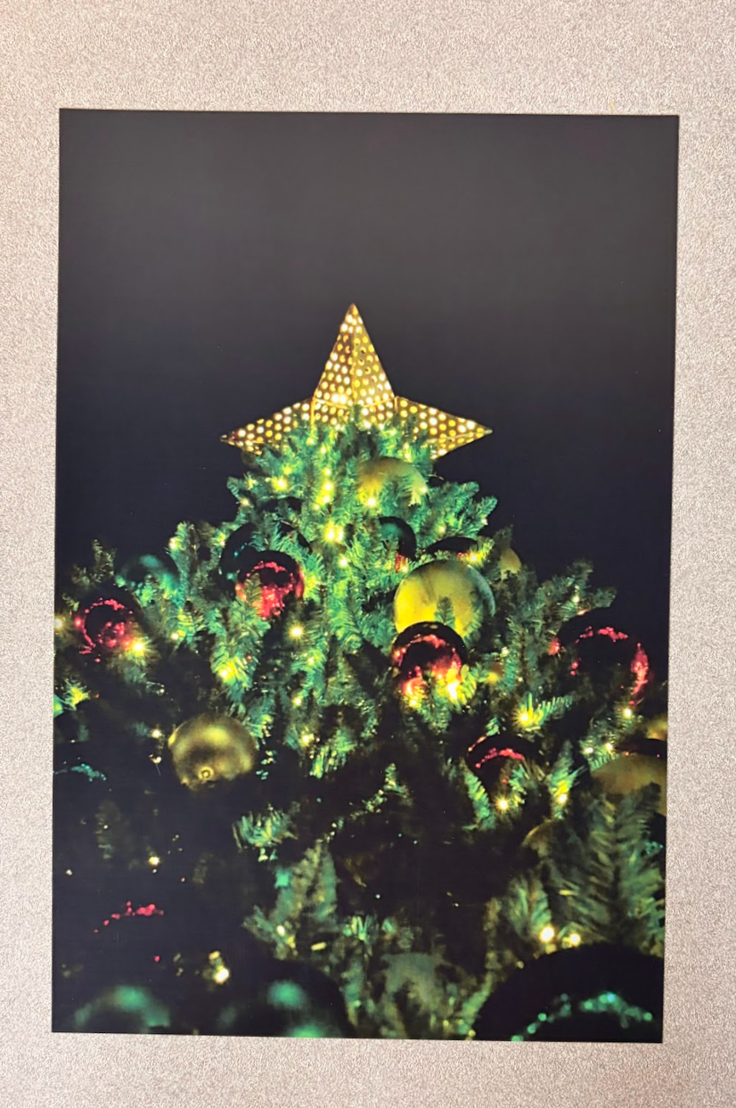 Rock Hill Christmas Tree