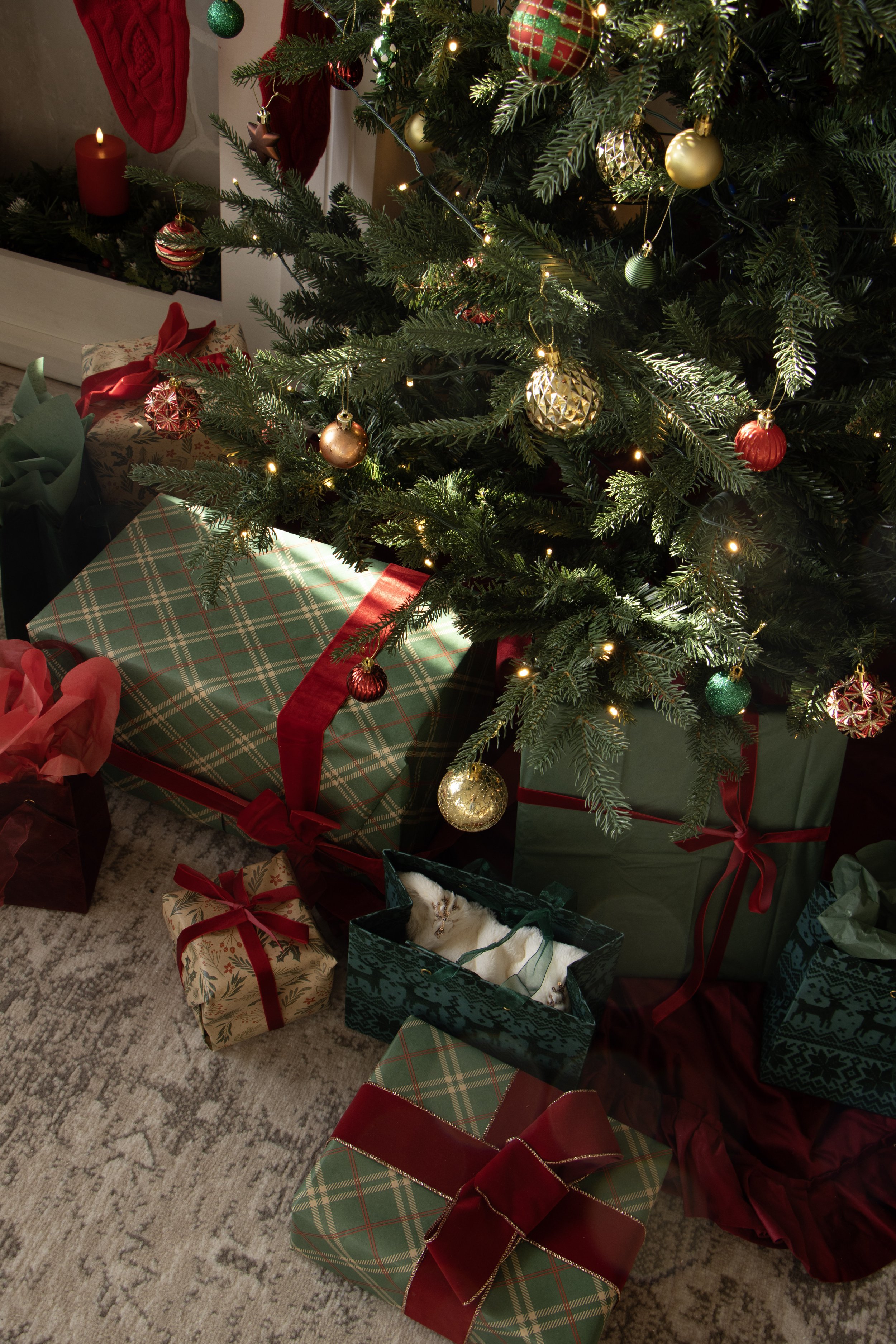 Christmas tree decorated with ornaments and lights, surrounded by wrapped gifts and a cat resting inside a gift box.