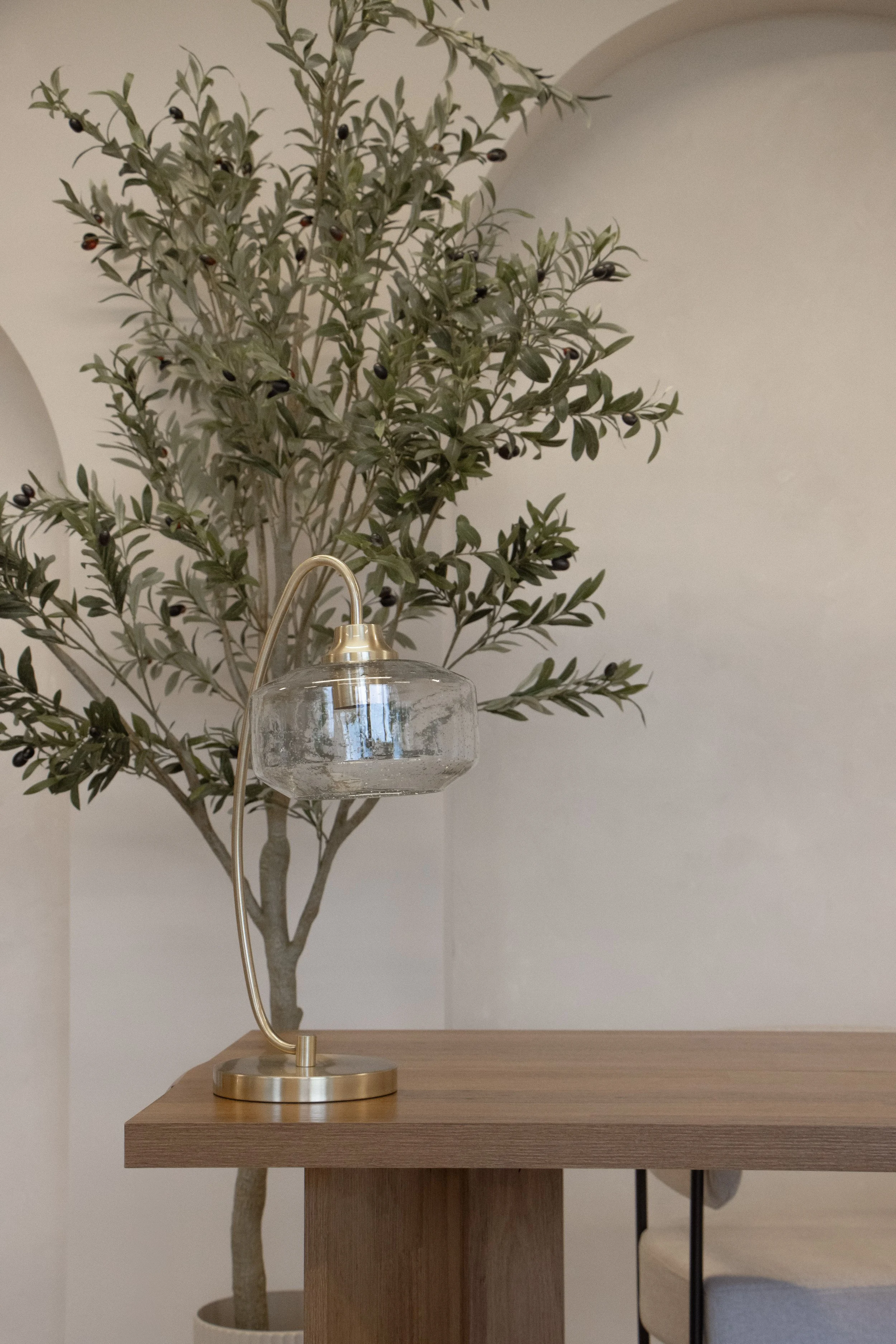 Brass and glass table lamp on wooden table with a green potted olive tree in the background