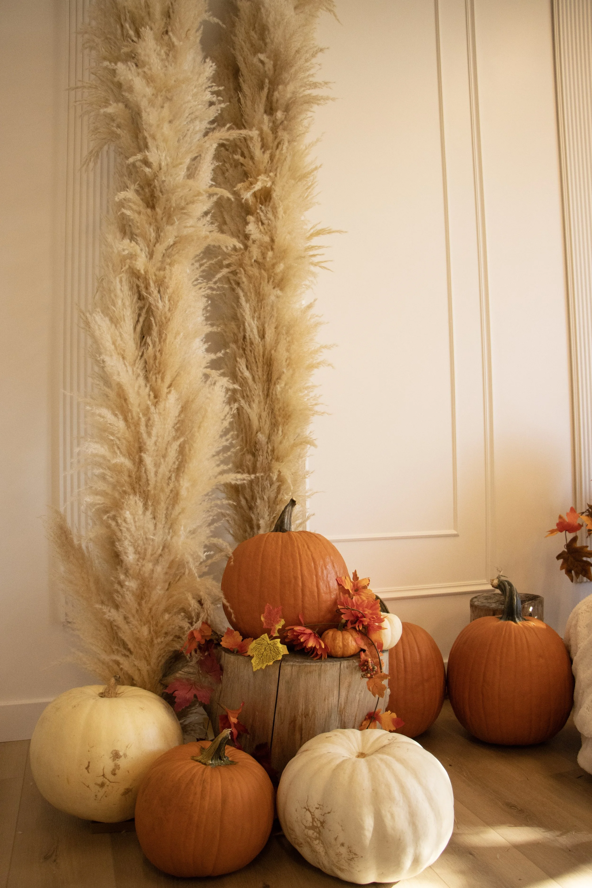 Fall-themed display with several pumpkins of white, orange, and green colors arranged on a wooden surface, surrounded by autumn leaves and decorative pampas grass in the background.
