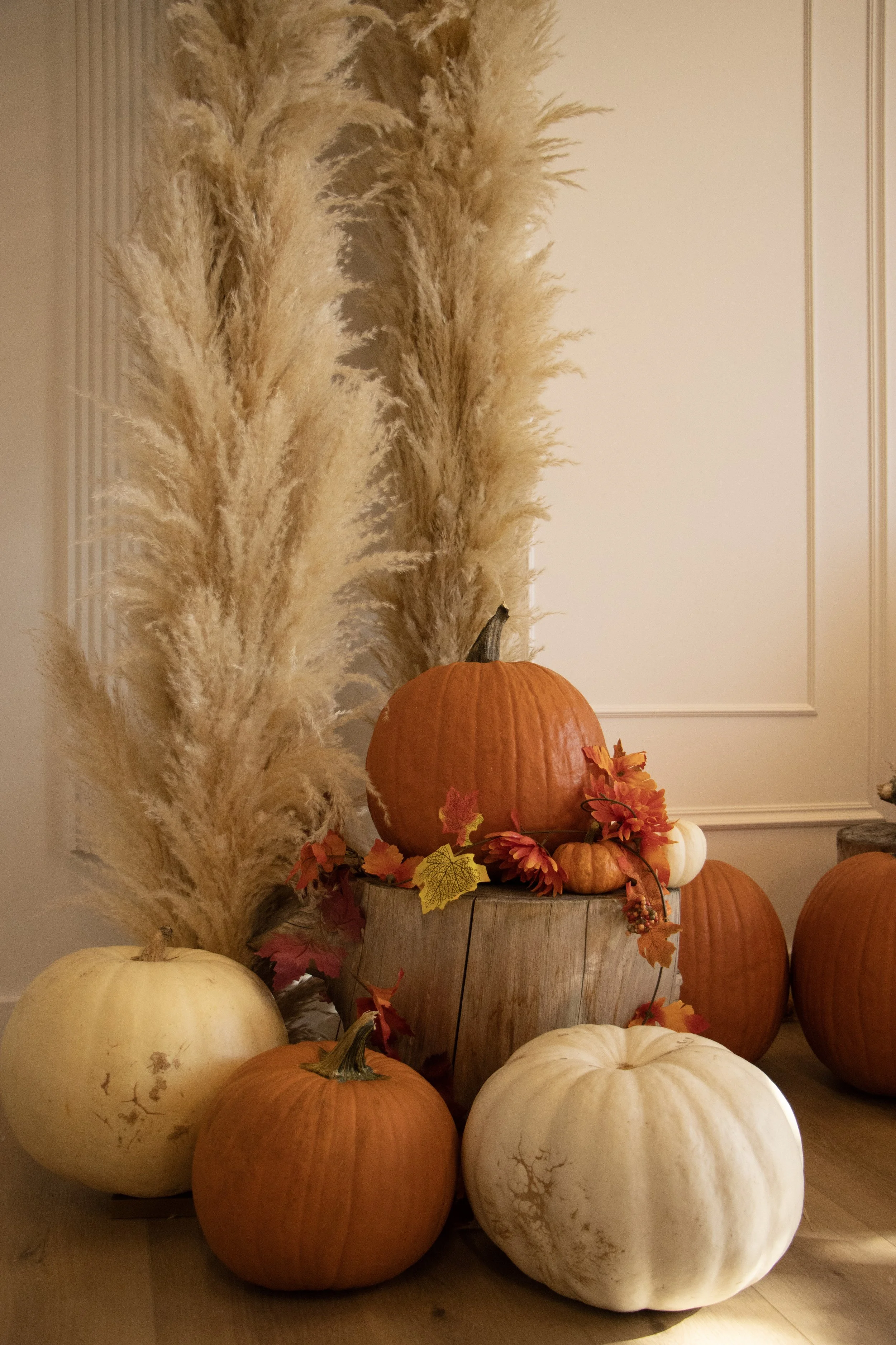 An arrangement of pumpkins in autumn colors, including orange and white, with decorative fall leaves and flowers, placed on and around a wooden stump, with tall pampas grass in the background.