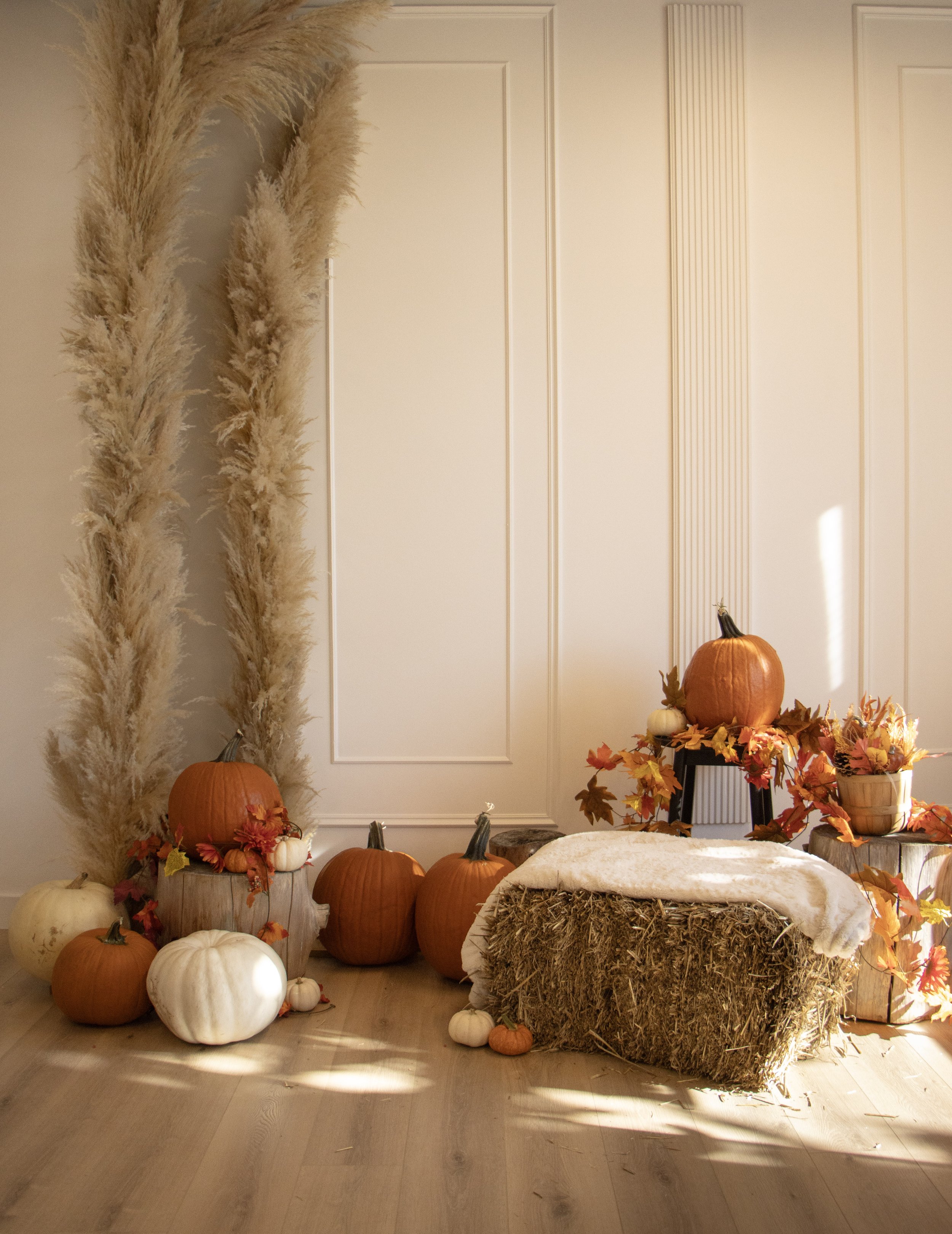 Fall-themed indoor display with pumpkins, gourds, autumn leaves, hay bales, pampas grass, and a white wall background.