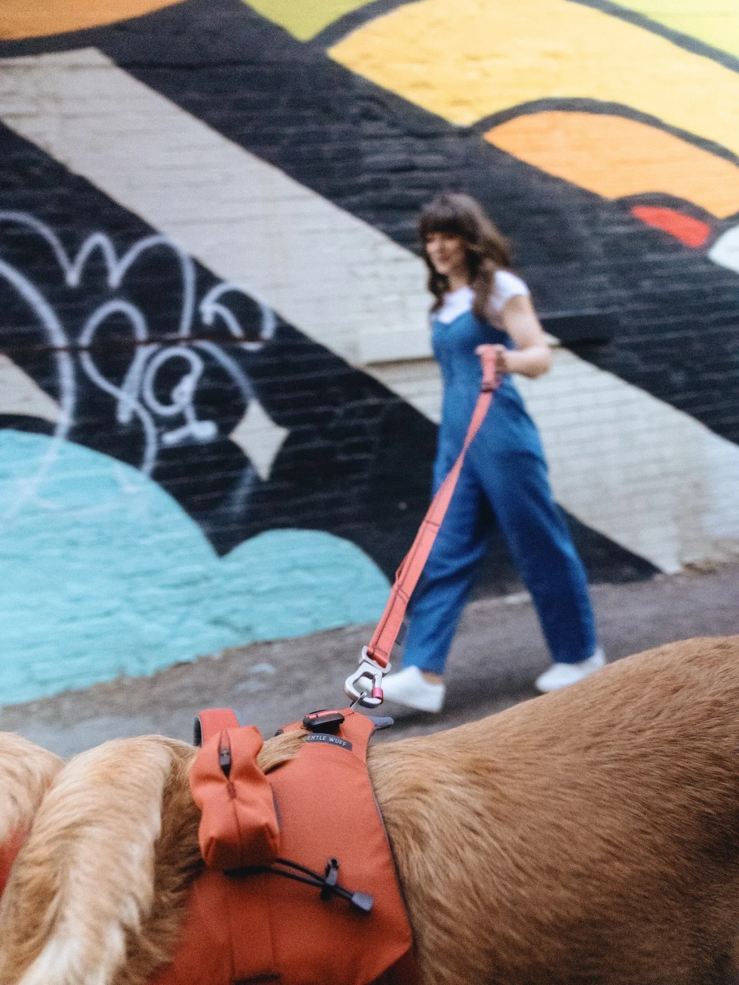 Brand contents creation.
Photoshoot in SLC.

#dogproduct #brandphotographer #brandphotoshoot