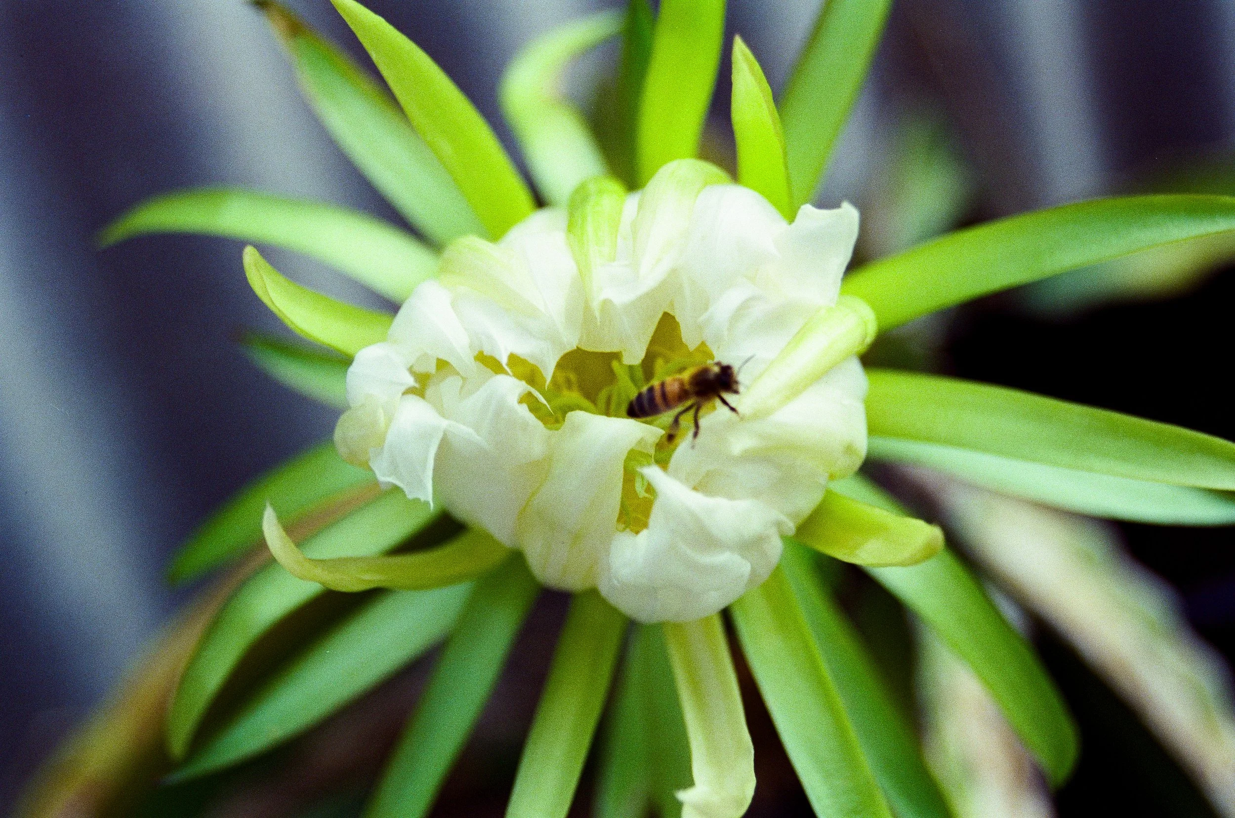 __000032010020.jpg