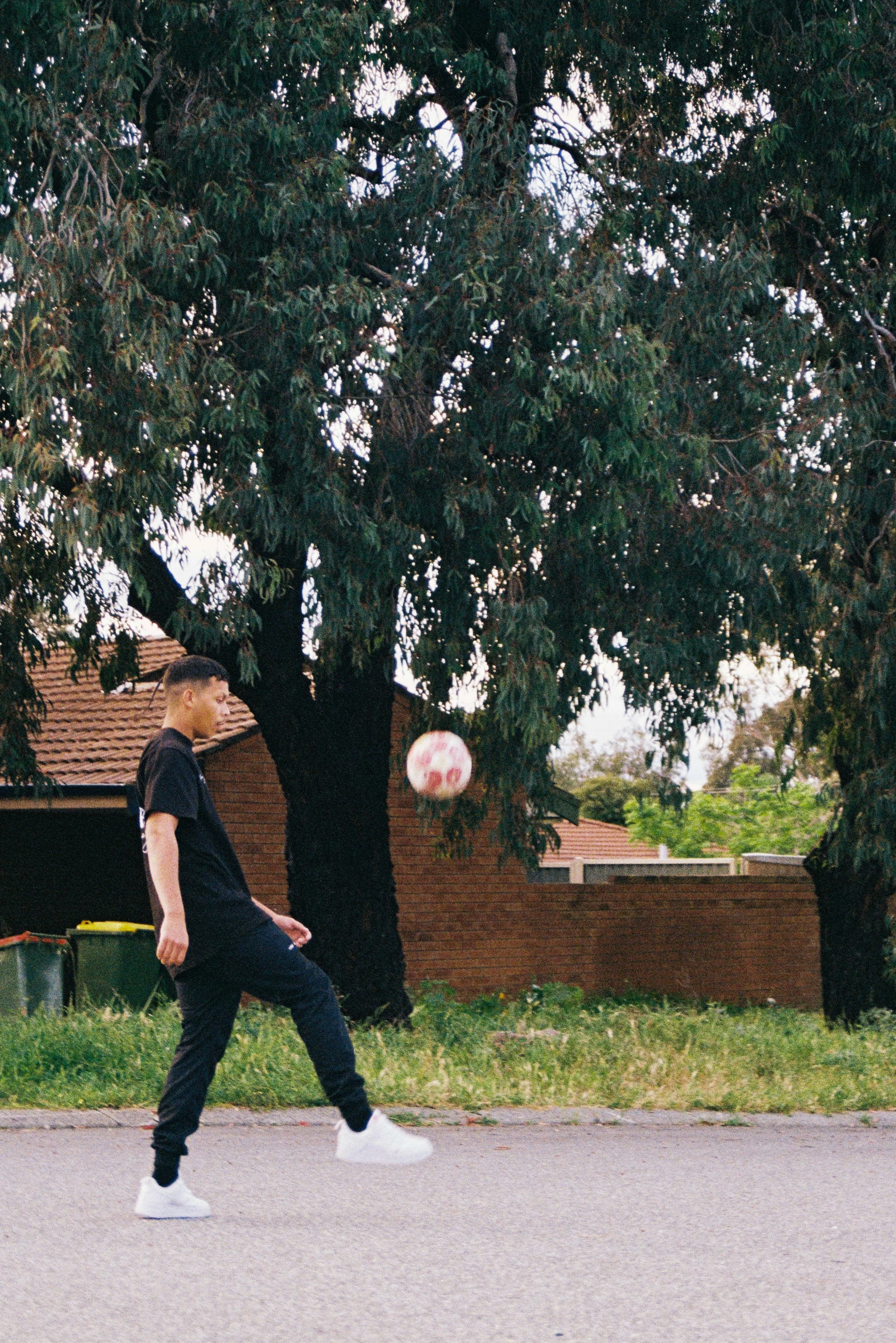 (P) 000054.jpg