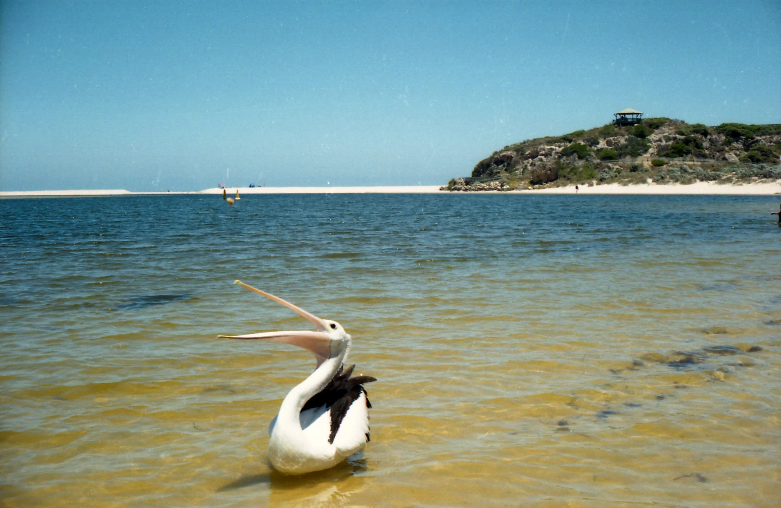 _img520.jpg