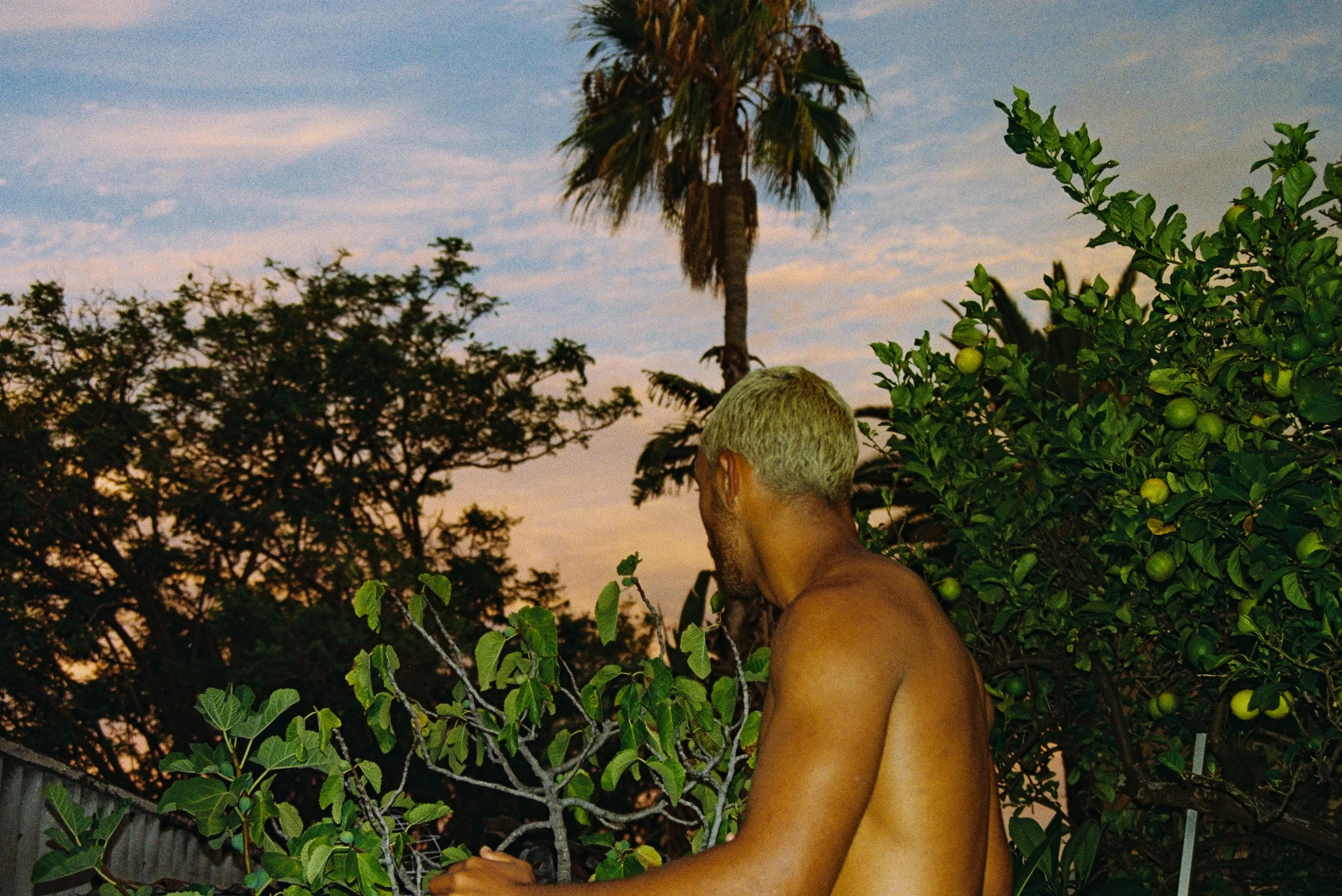 000063-7.jpg