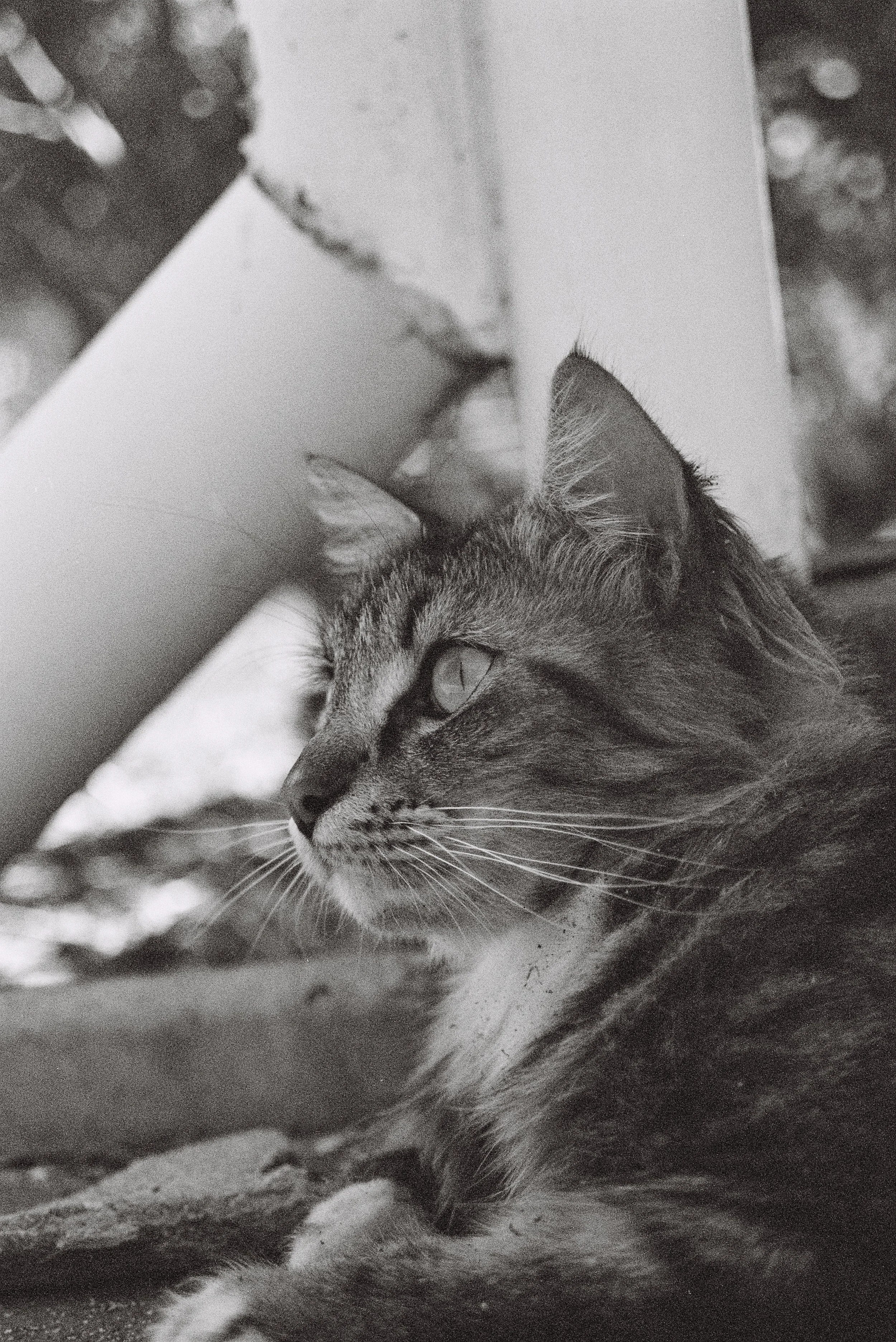 000048-4.jpg