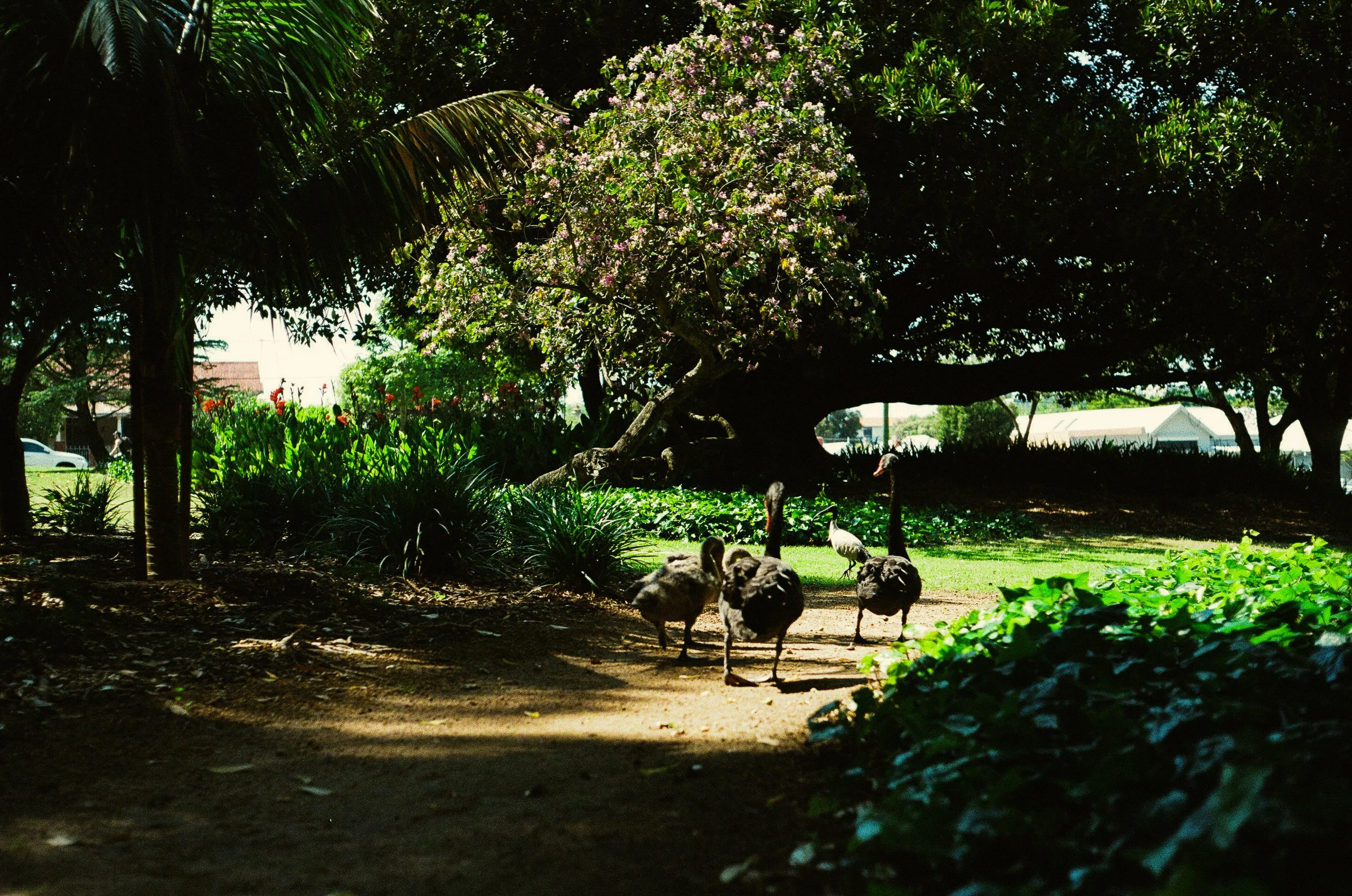 __000041520015-2.jpg