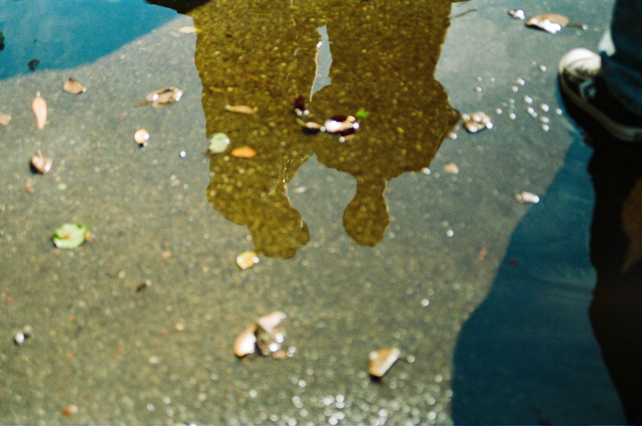 !Art - _000040340018.jpg