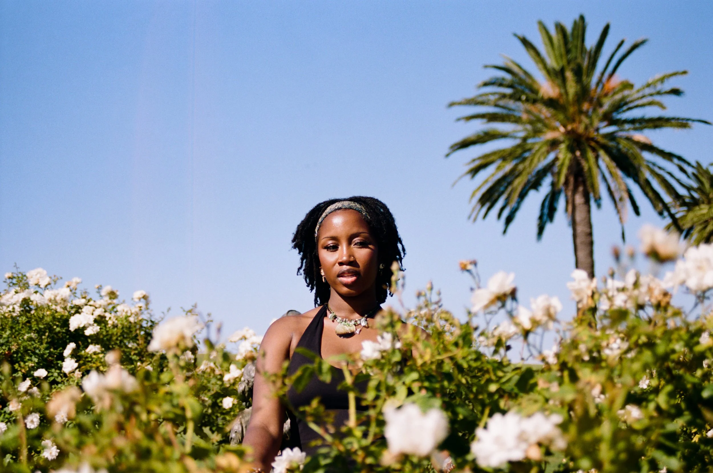 000000860029.jpg