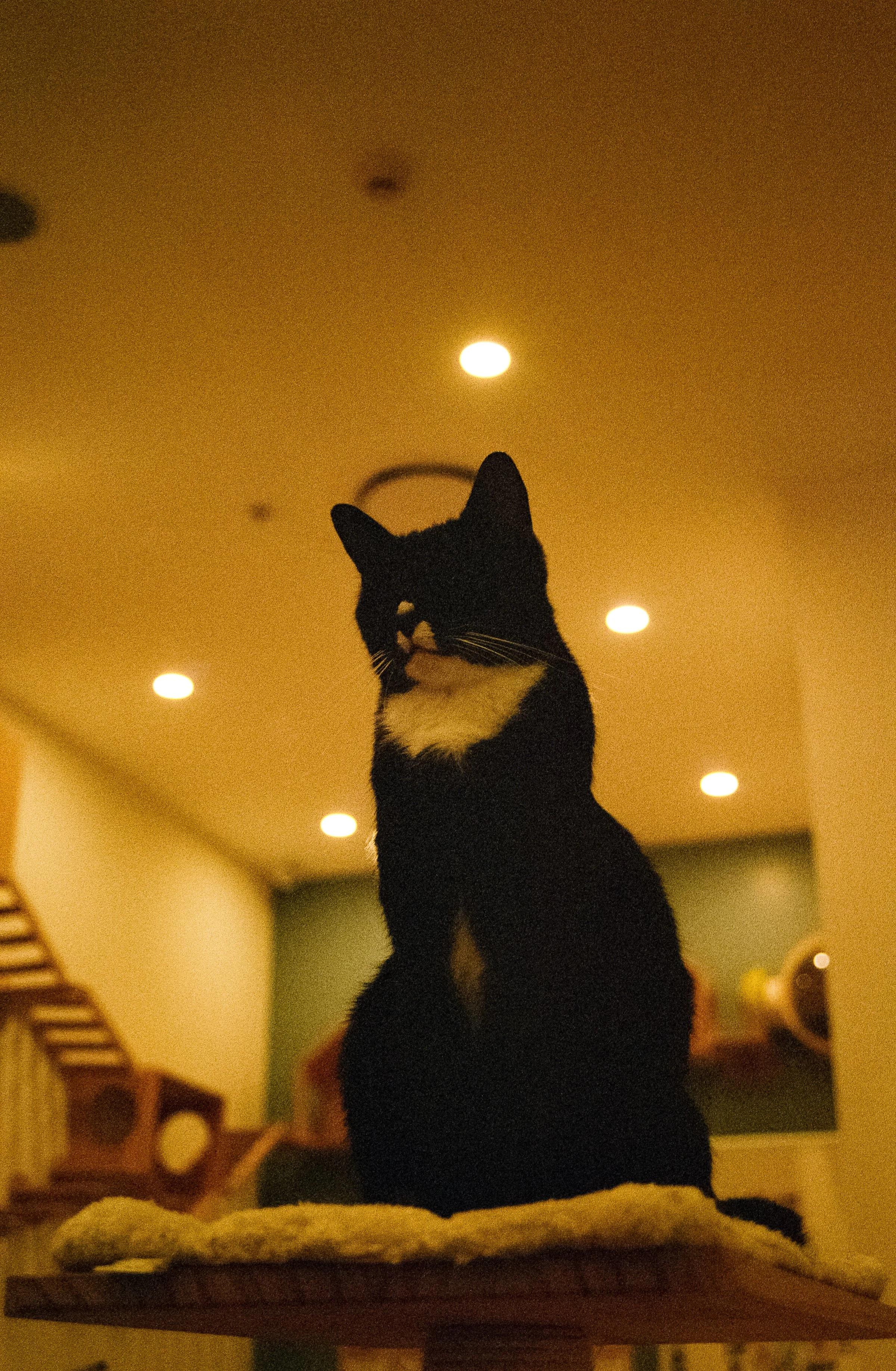 04009021_09_C.jpg
