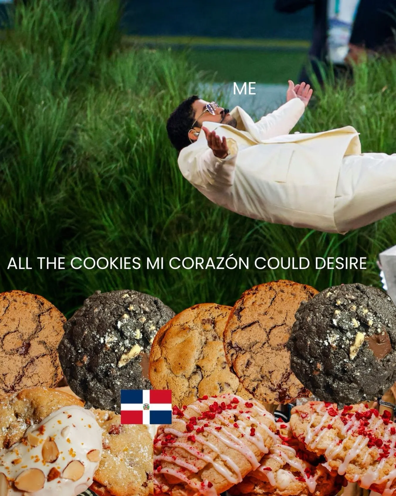 &iexcl;A Bad Bunny le encantar&iacute;an nuestras galletas!

Apple butter buns, Best Brooklyn micro bakery, best espresso cookie nyc, triple chocolate walnut, best raspberry white chocolate macadamia nyc, dulce pecan chip, Brooklyn cookies, Brooklyn 