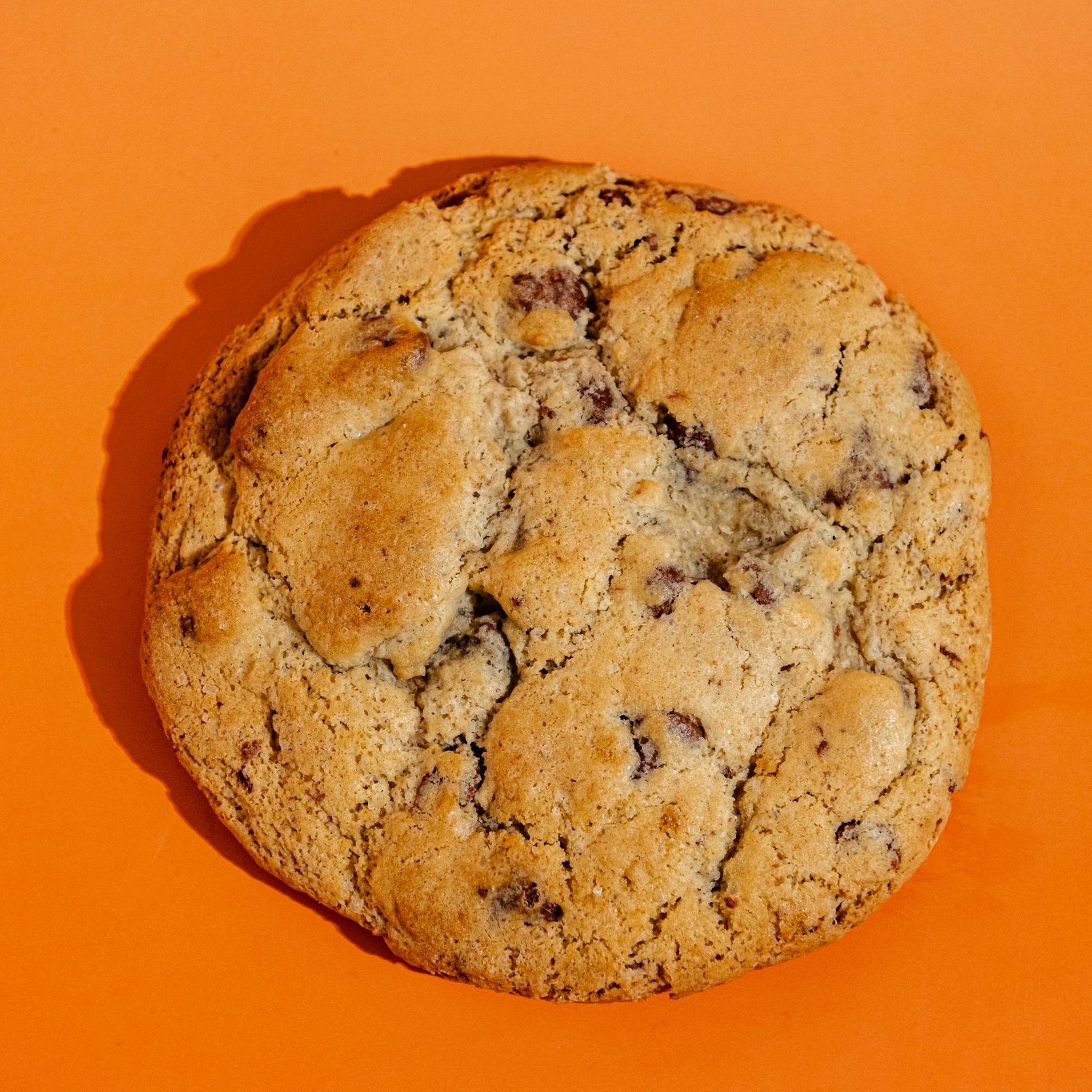 Chocolate+Chip+Cookie+DBD-2.jpg
