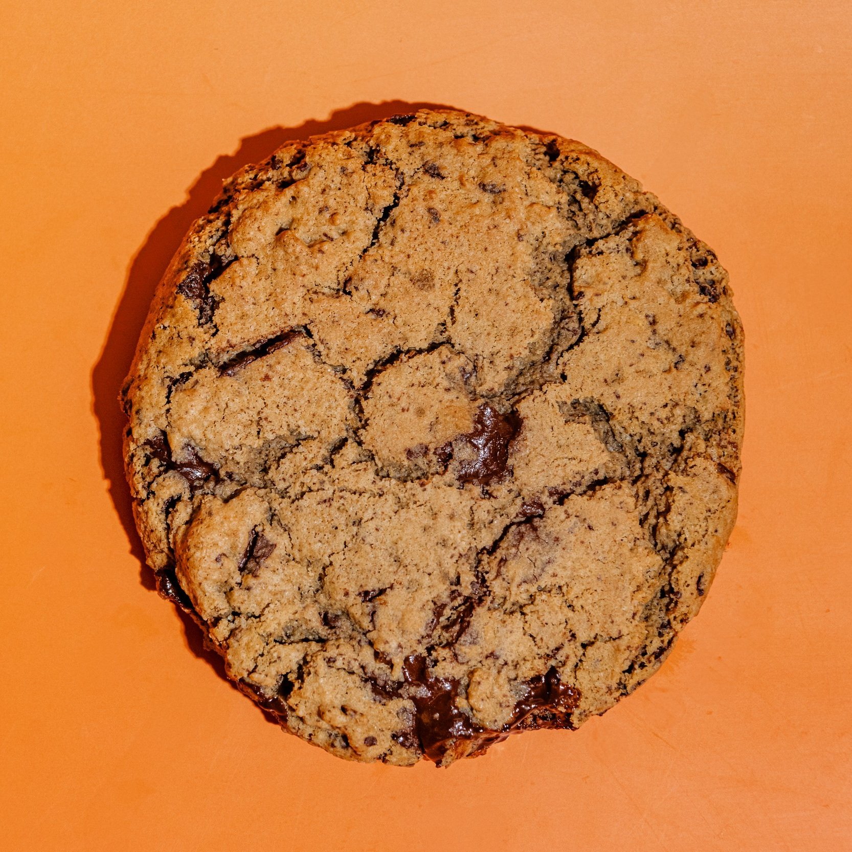 Espresso+Cookie+DBD-3.jpg