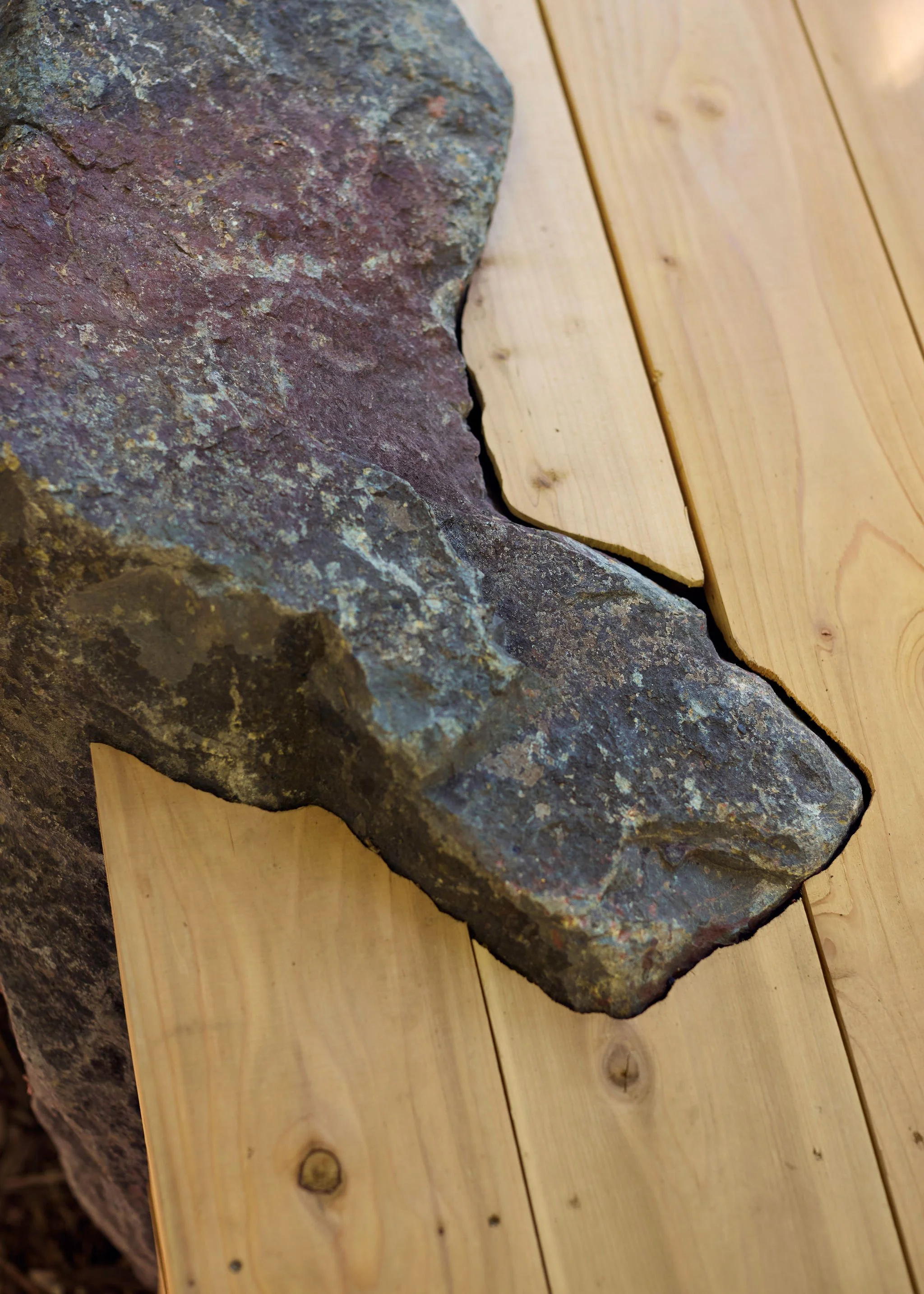 091626_StudioRickner_Potluck_SilverwoodSculpture015_SR5_5060.jpg