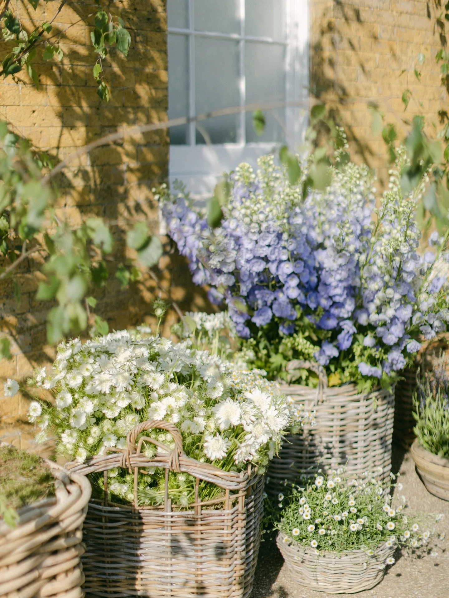 When florals aren&rsquo;t just decor - they are the art of creating warmth, reach and effortless luxury in every detail.

#springflorals #elevatingspaces #eventdesign #eventdesigner #weddingplanner