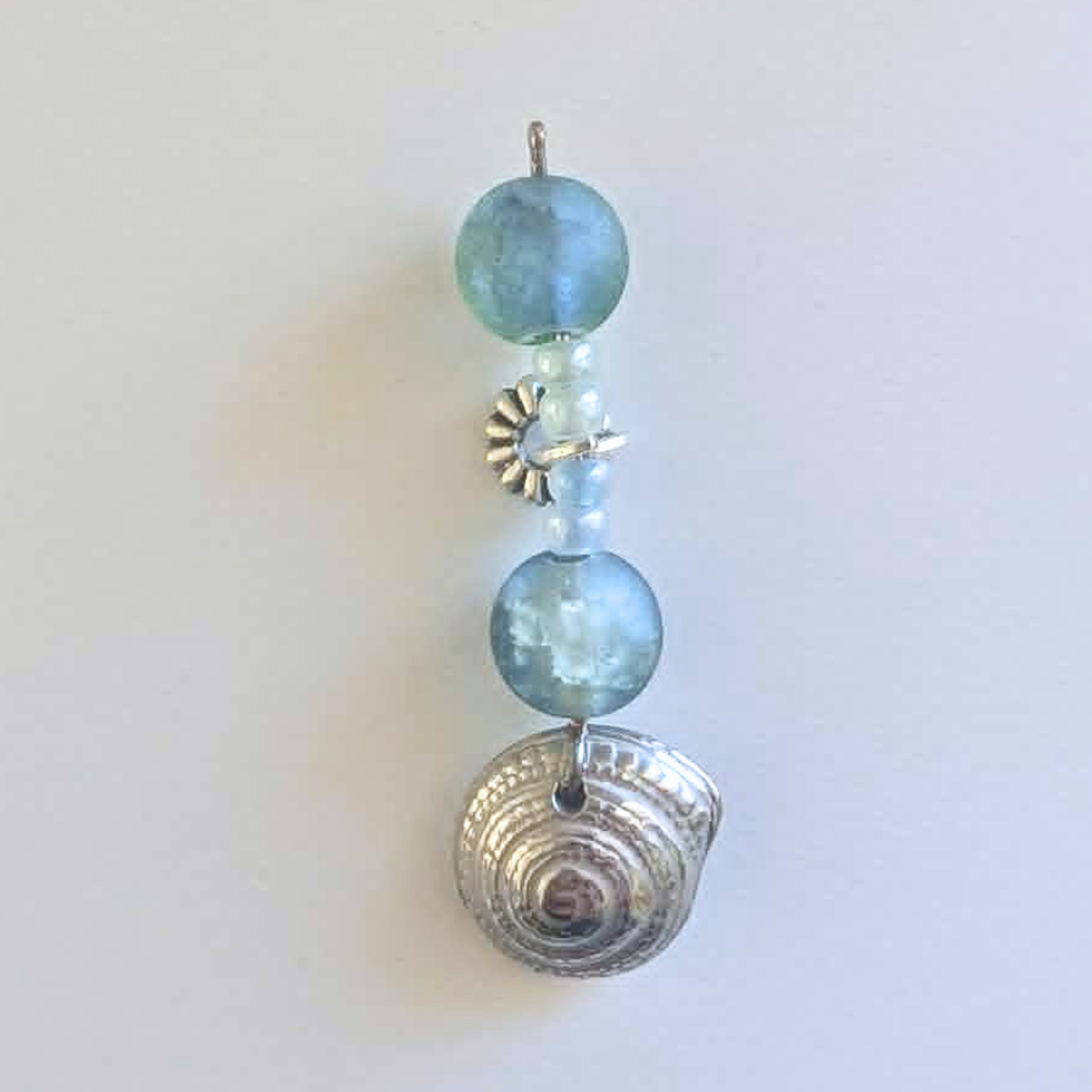 Moon Snail