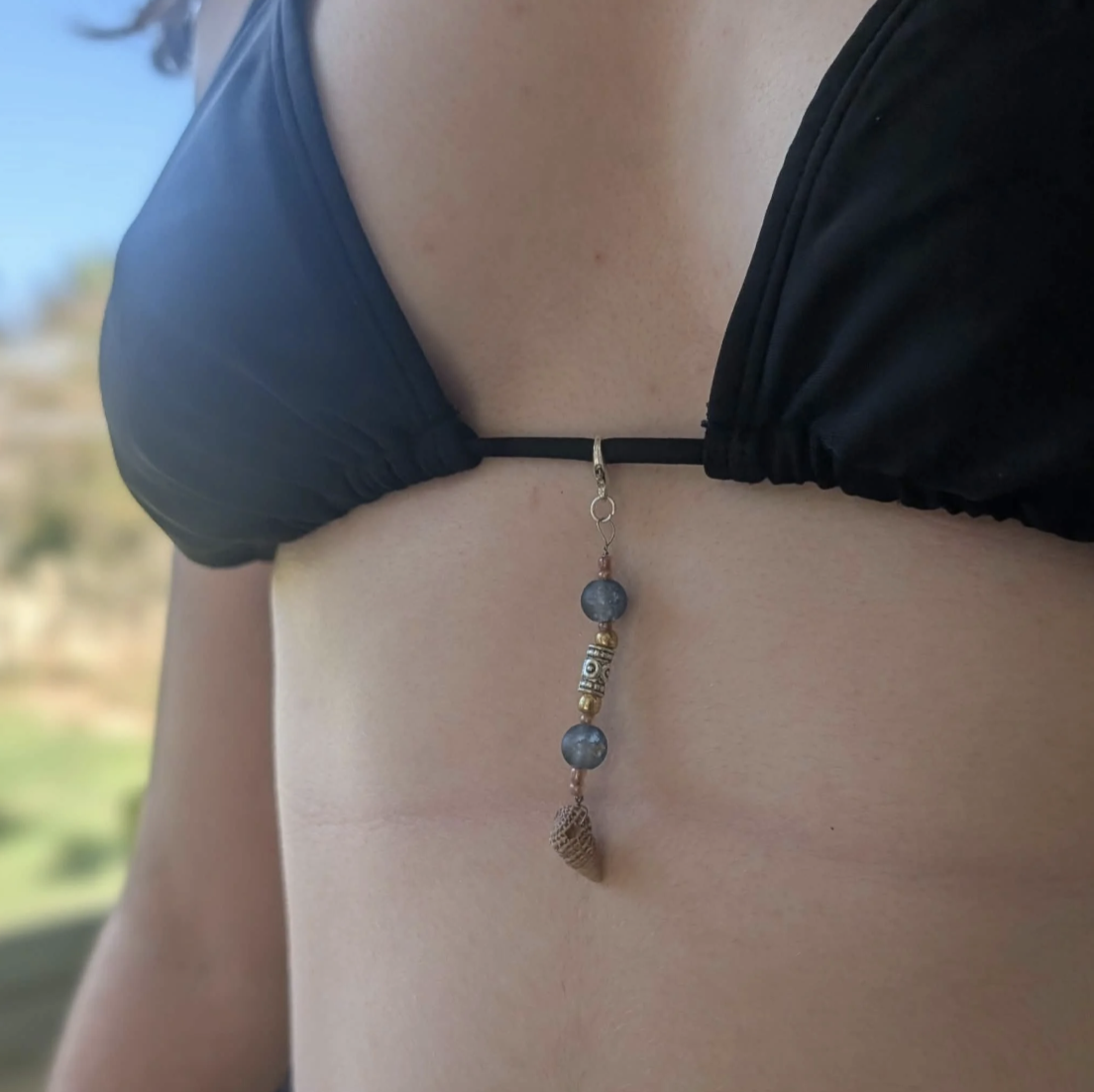 she sells sea shells by the sea shore bikini.png