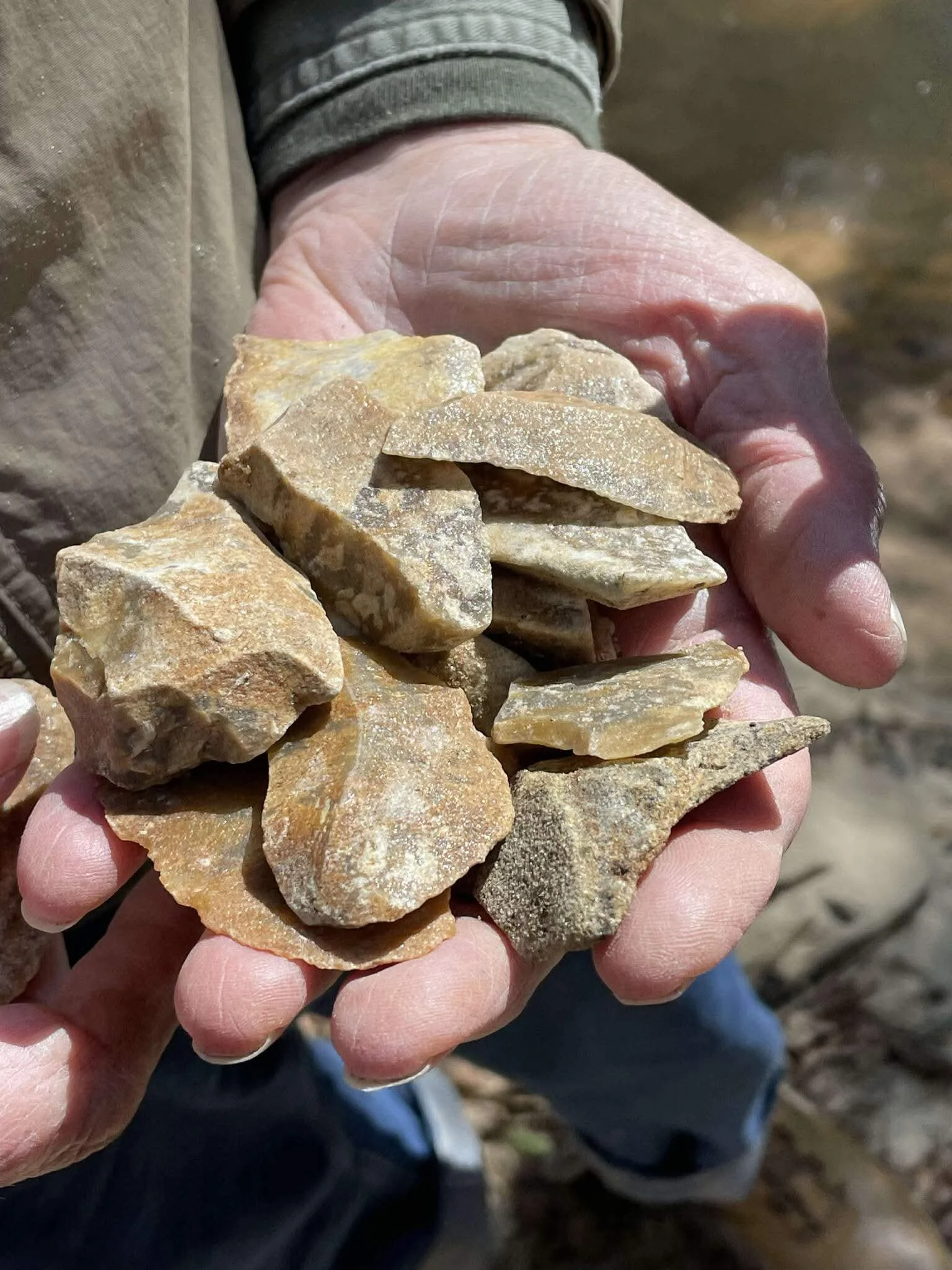 Photo courtesy of the MAA