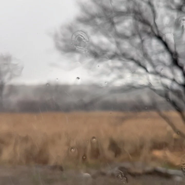 So much gratitude for this sweet &amp; delicious precipitation 💦💦💦🌧️🌧️🌧️