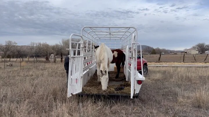 They&rsquo;re back!🥰&hellip;and still sweet as ever