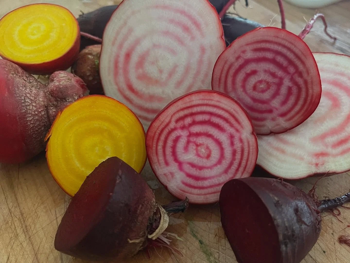 Here they come!!!! (Chioggia, Golden &amp; Cylindra beets)🫜🫜🫜🫜🥬🥬🥬🥬