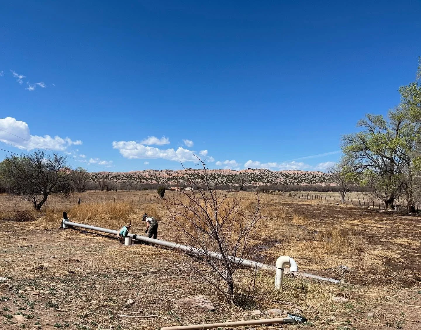 April 16-17, 2025 First flooding > 5 acres > 4 people > 3 dogs > 2 days > improvisational rigging > field rake waltz with water on contours > so much gratitude for the cheerful crew @abreininger @christinamesiti @slegumes
