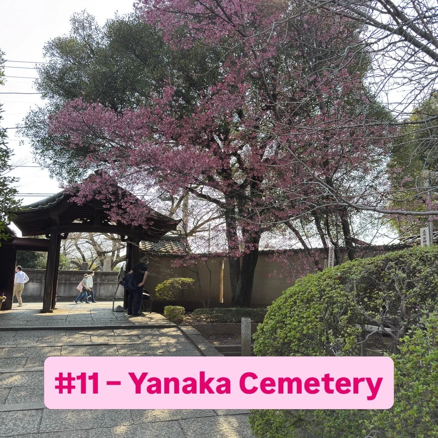 Yanaka Cemetery