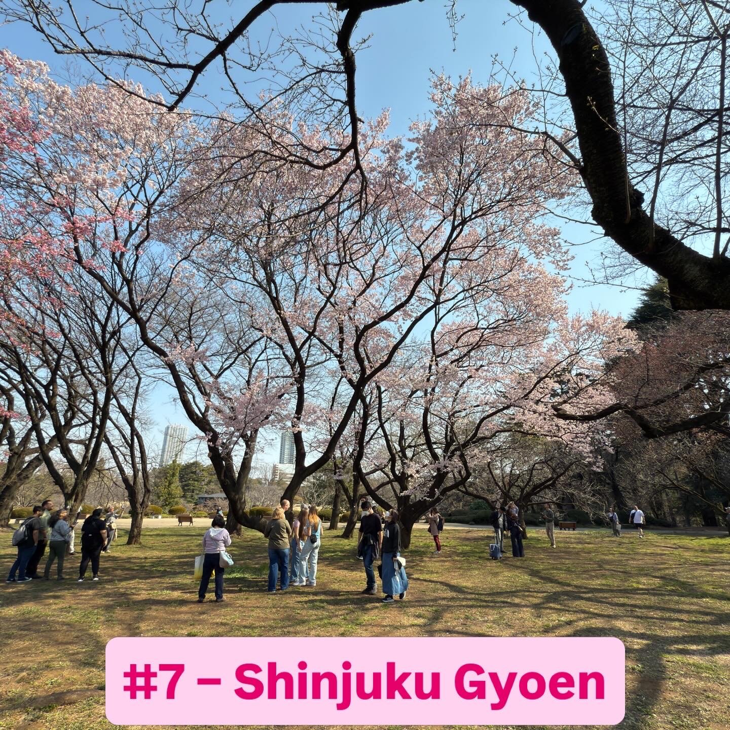 Shinjuku Gyoen