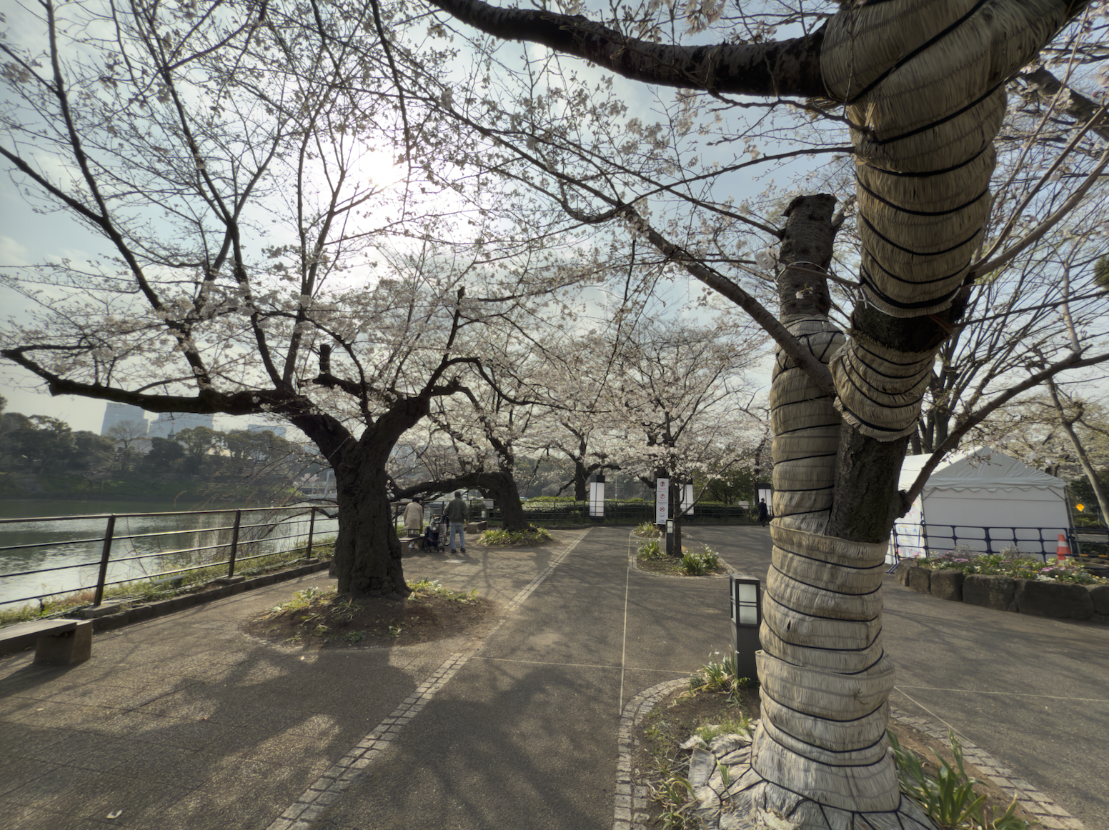 Chidorigafuchi Greenway