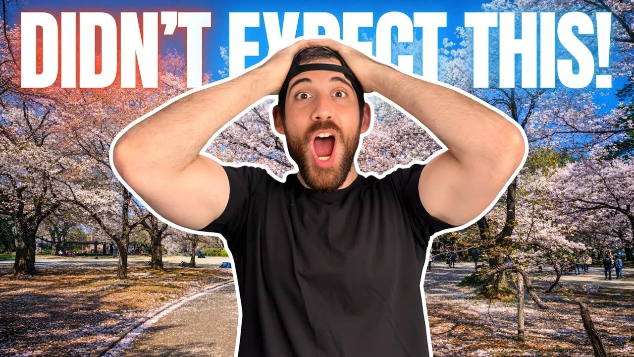 Shinjuku Gyoen: Tokyo's BEST Cherry Blossom Spot?