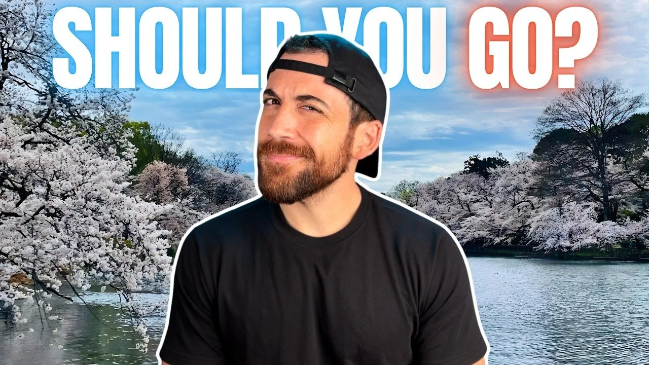 The Truth About Inokashira Park Cherry Blossoms