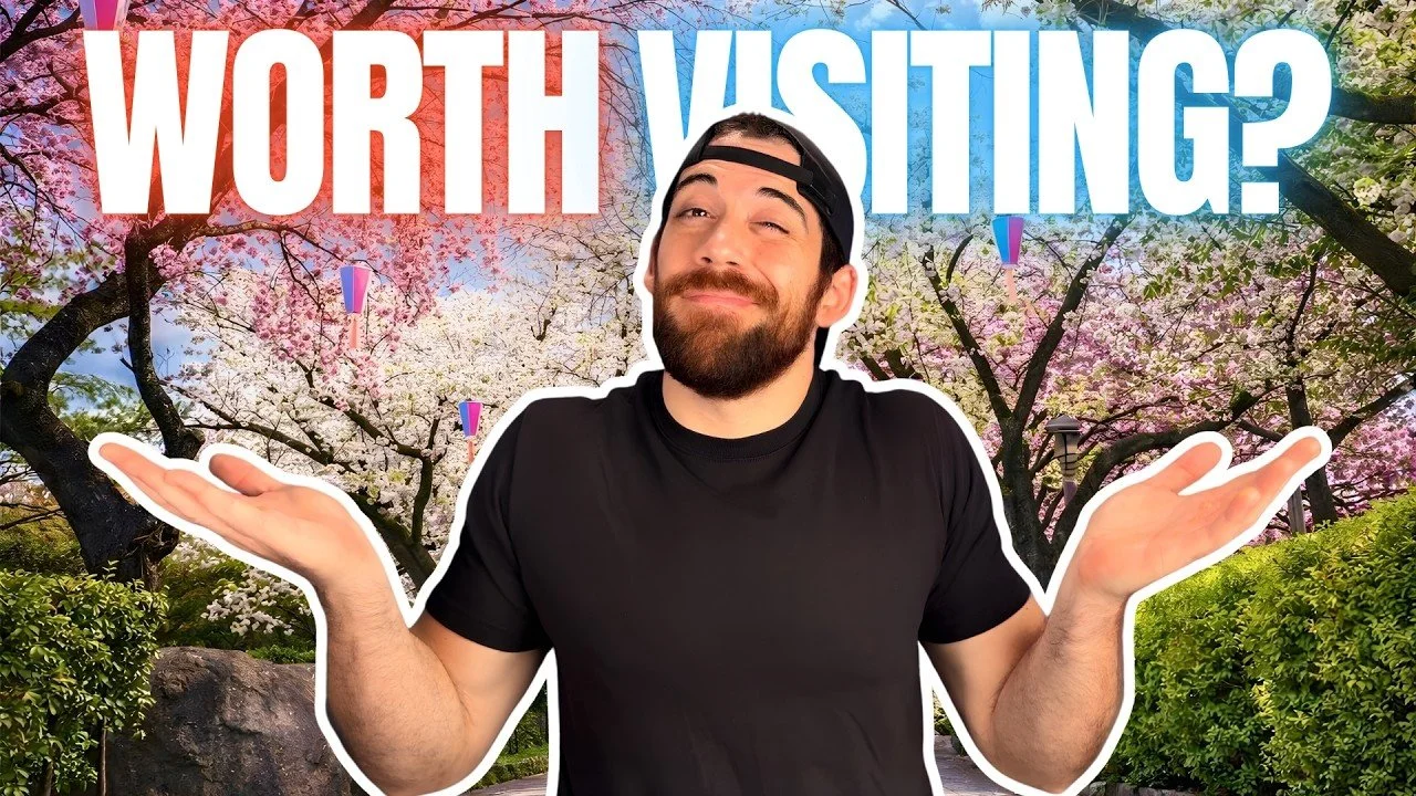 I Found Tokyo’s Cherry Blossom Hill