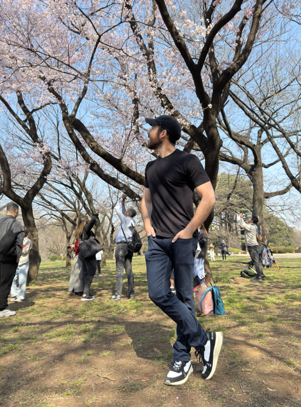Shinjuku Gyoen National Garden Cherry Blossom
