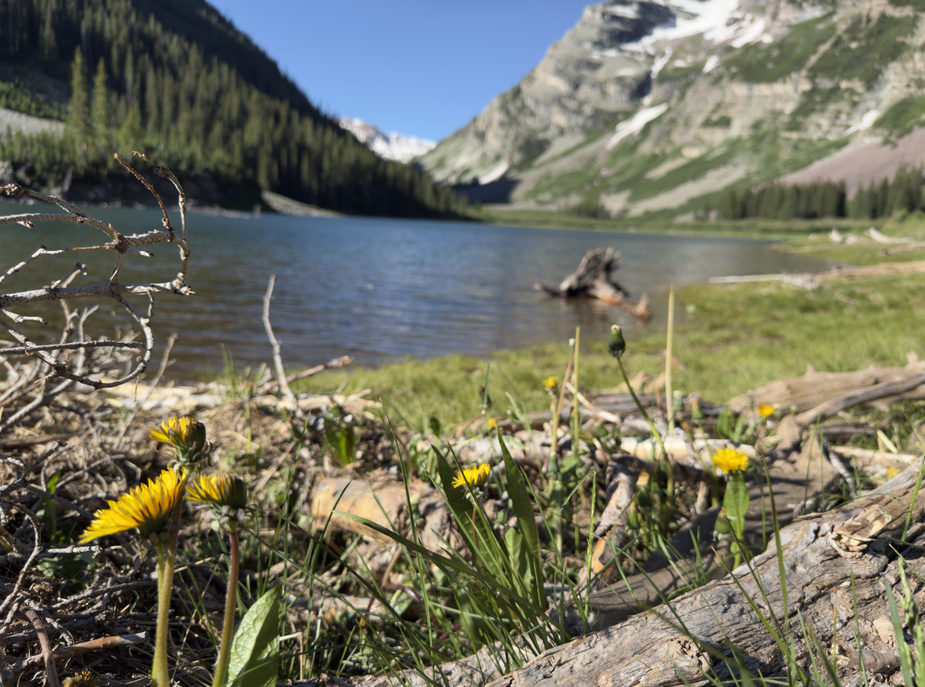 Maroon Bells, Colorado