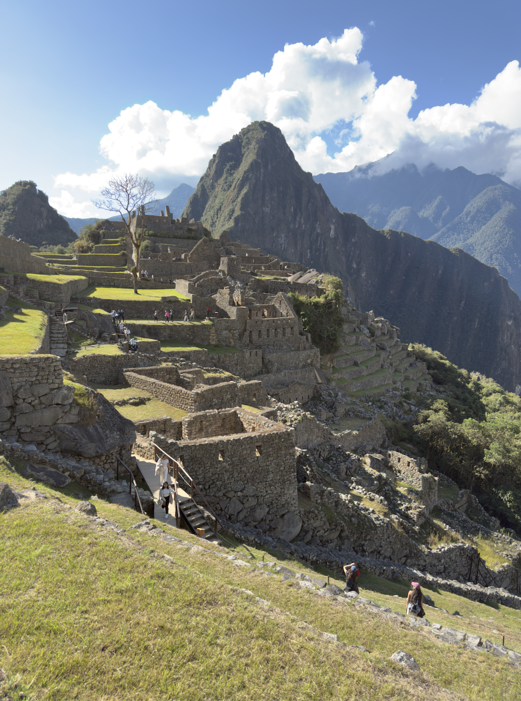Machu Picchu Circuit 3