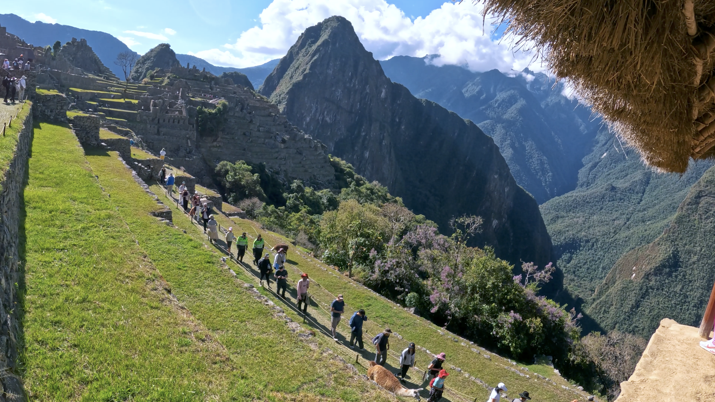 Machu Picchu Circuit 3