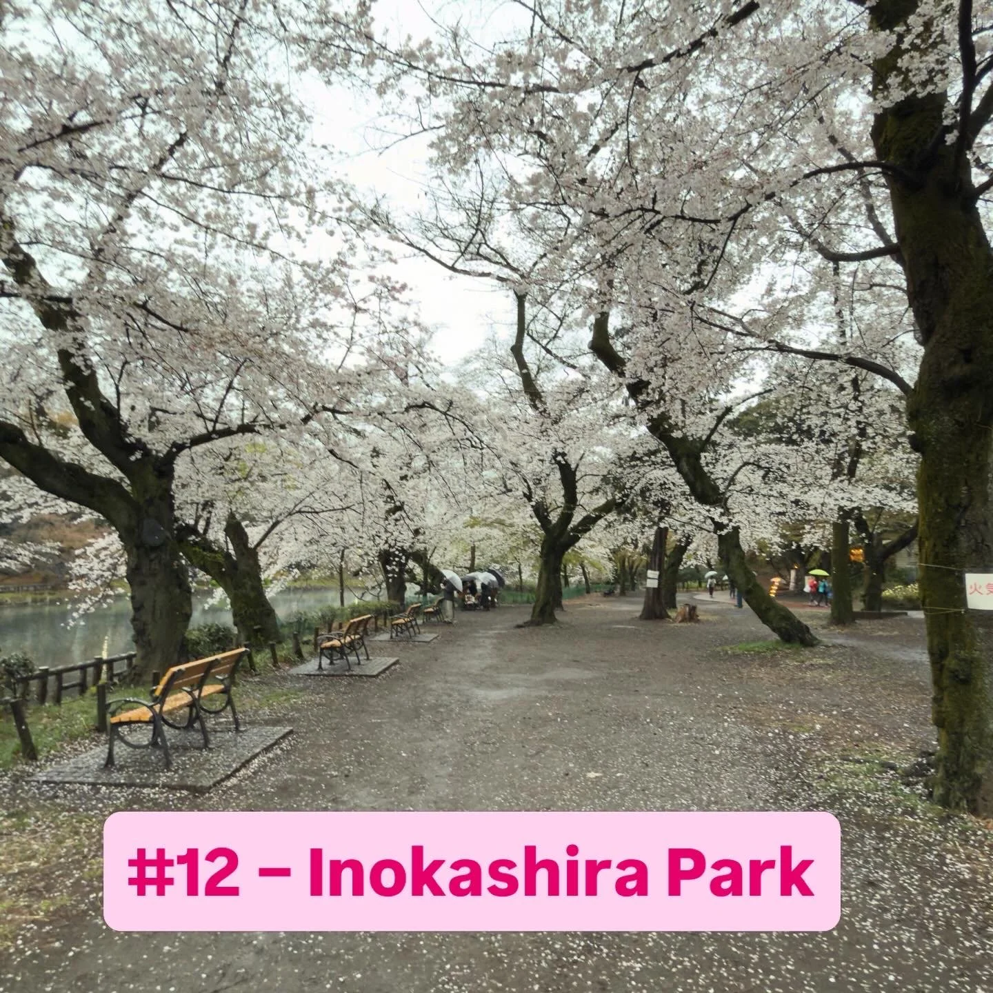 Inokashira Park