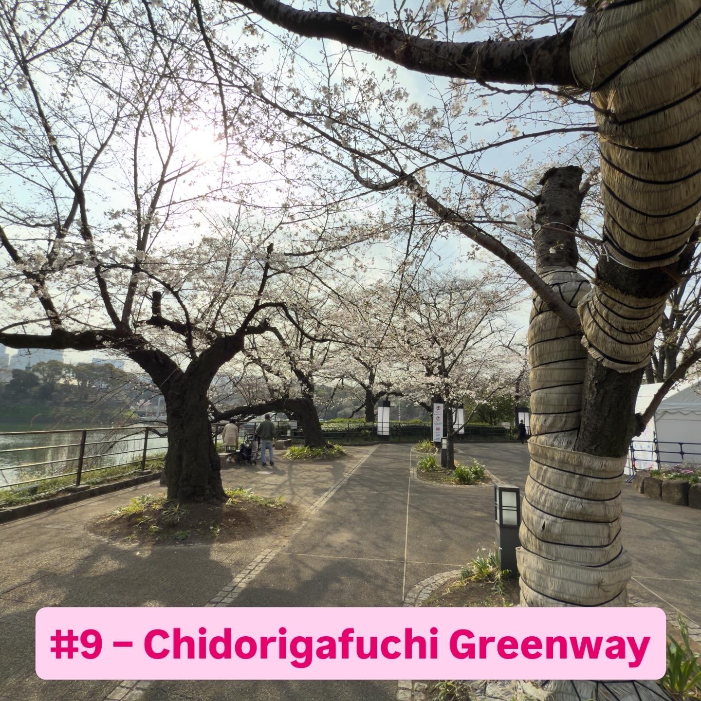 Chidorigafuchi Greenway