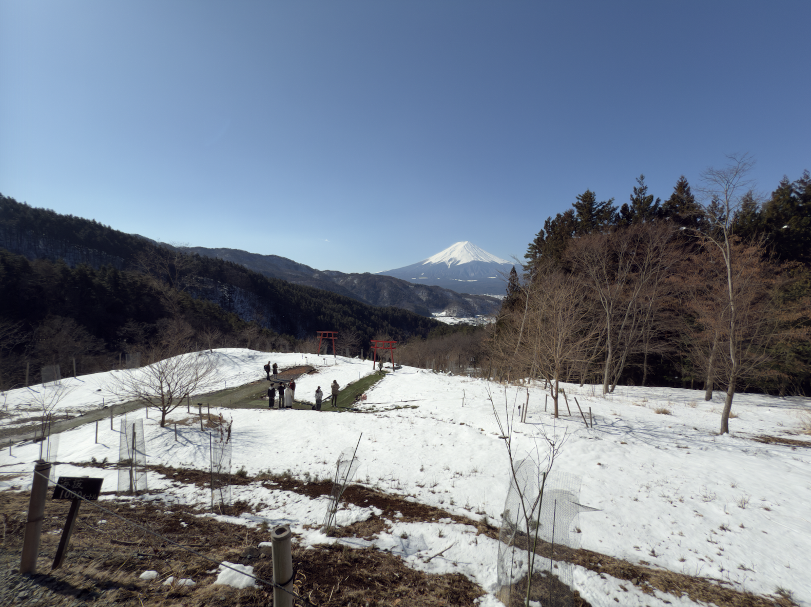 Red Tori Gate in the Sky Mount Fuji