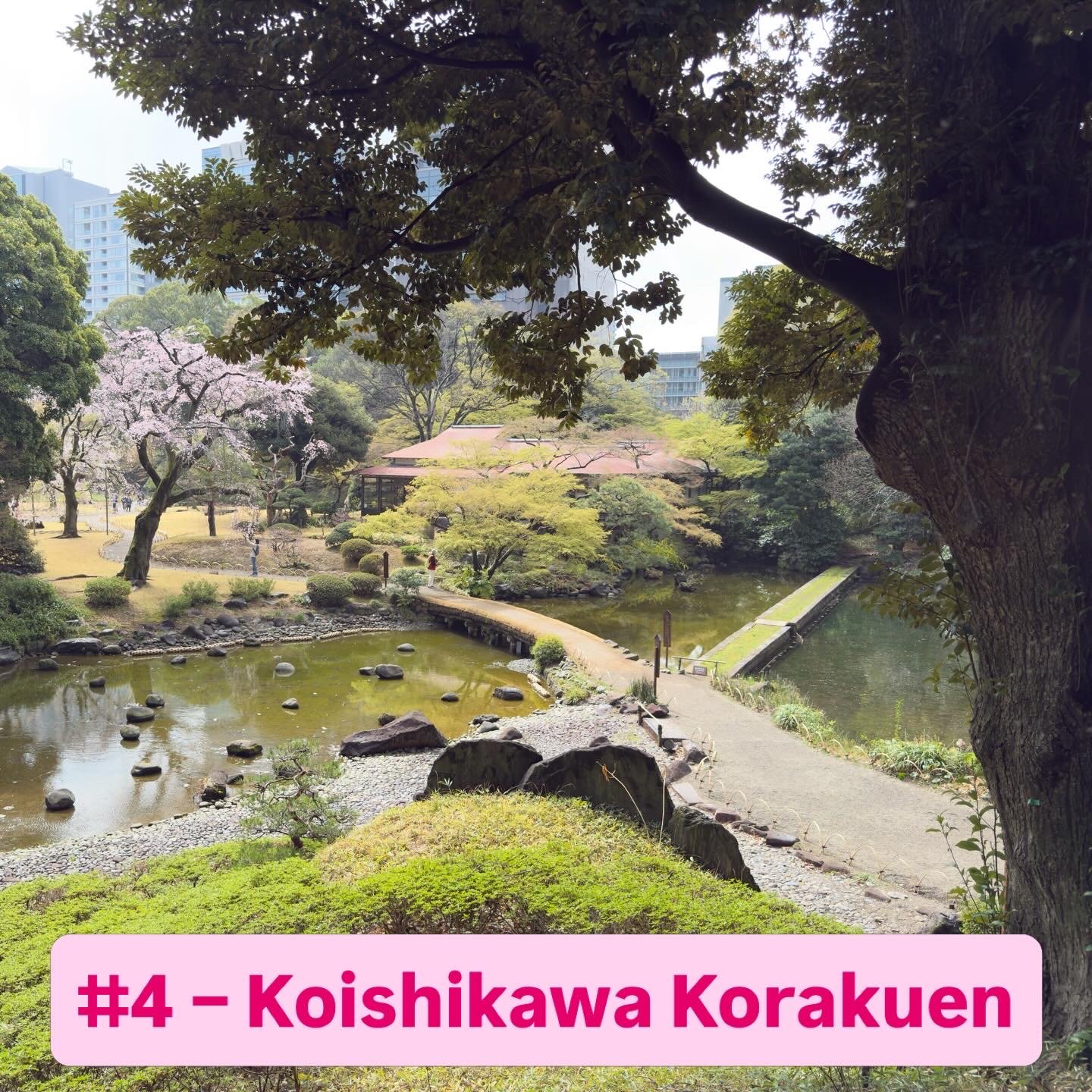 Koishikawa Korakuen Garden