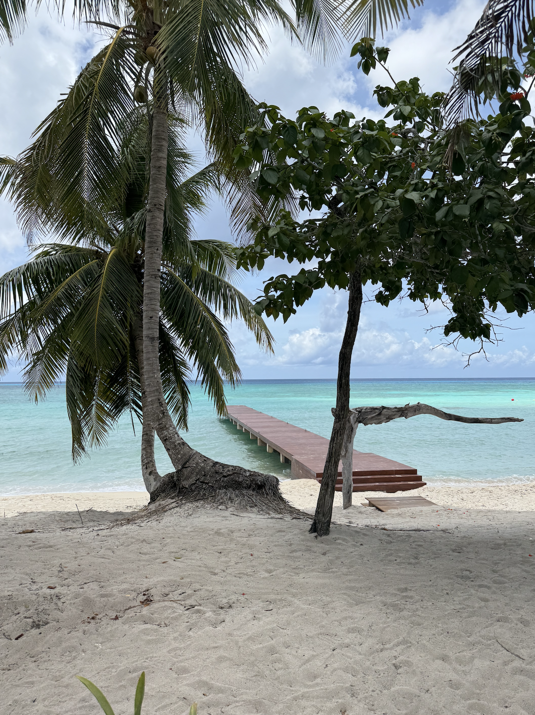 Royal Caribbean Cruise