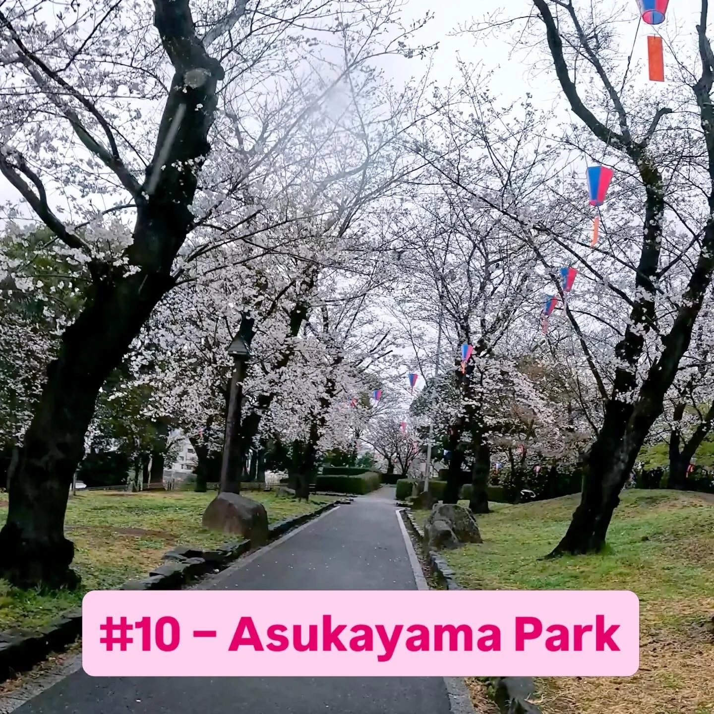 Asukayama Park