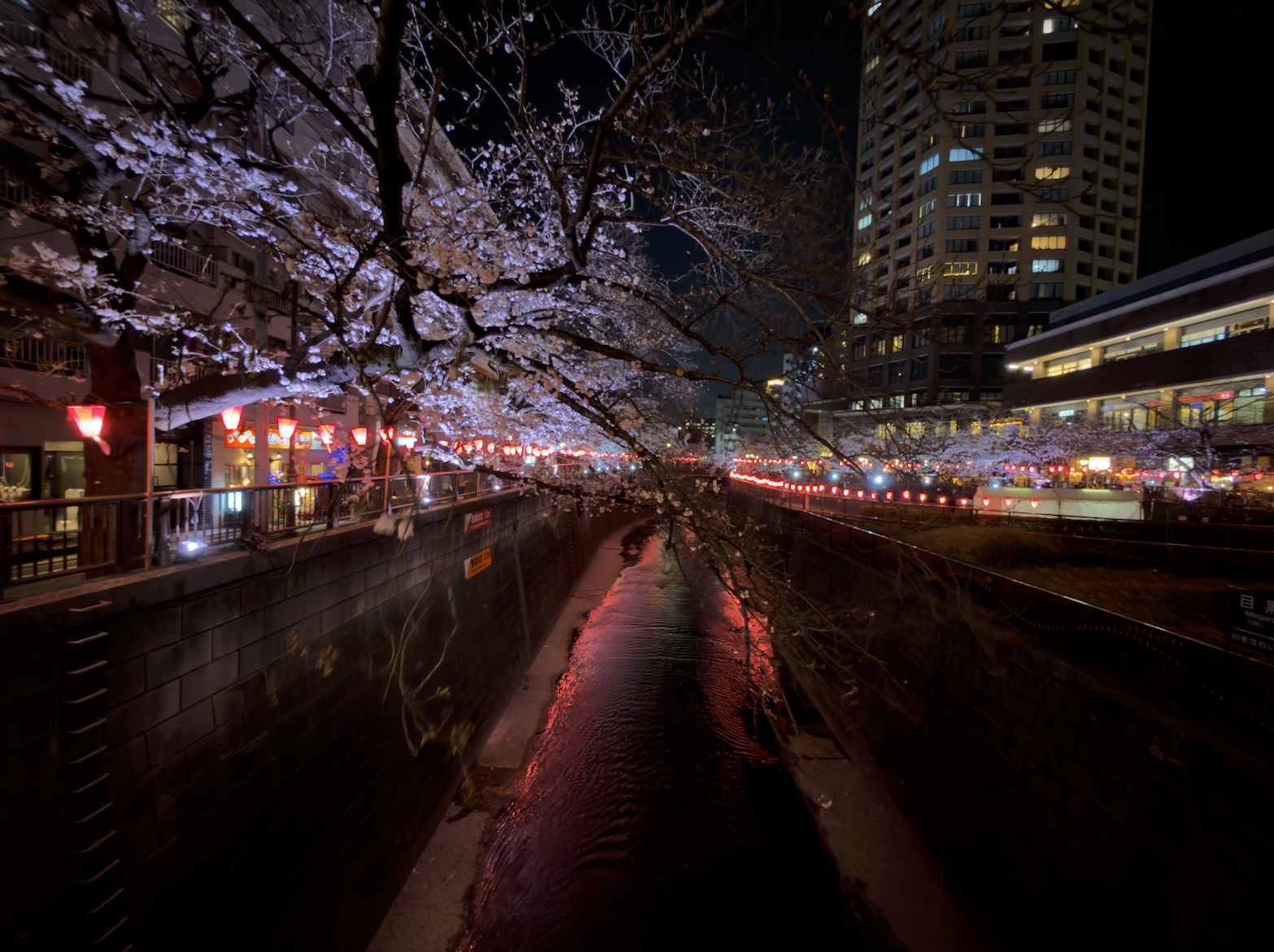 Nakameguro Cherry Blossom Festival