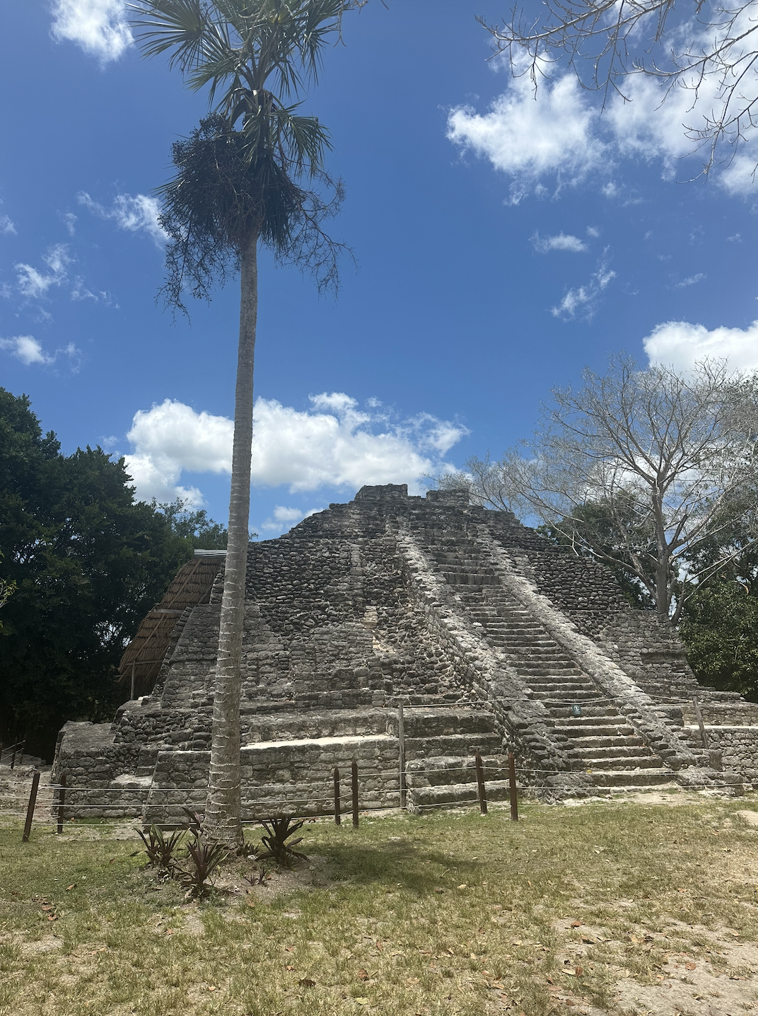 Royal Caribbean Cruise