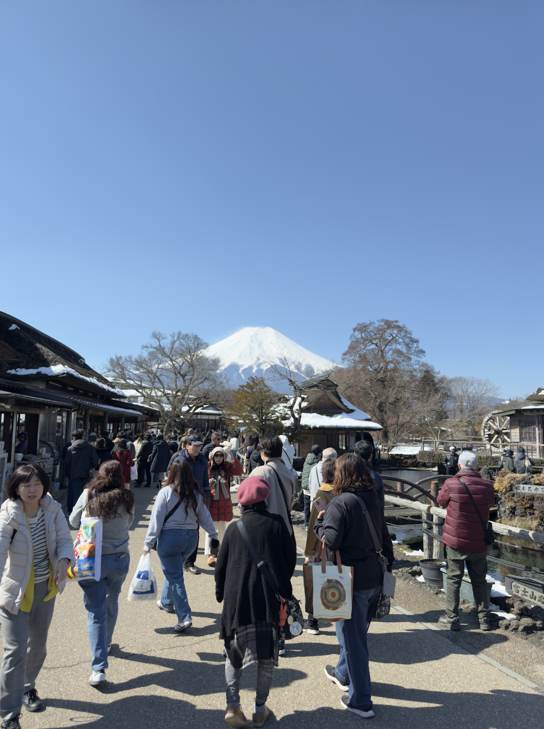 Eight Seas of Oshino