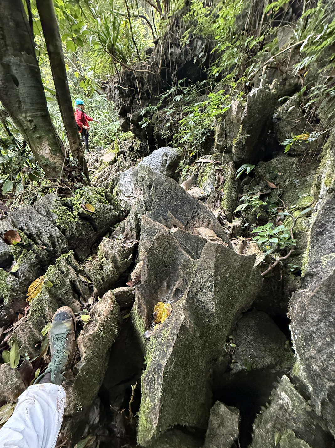 Son Doong Cave Day 5