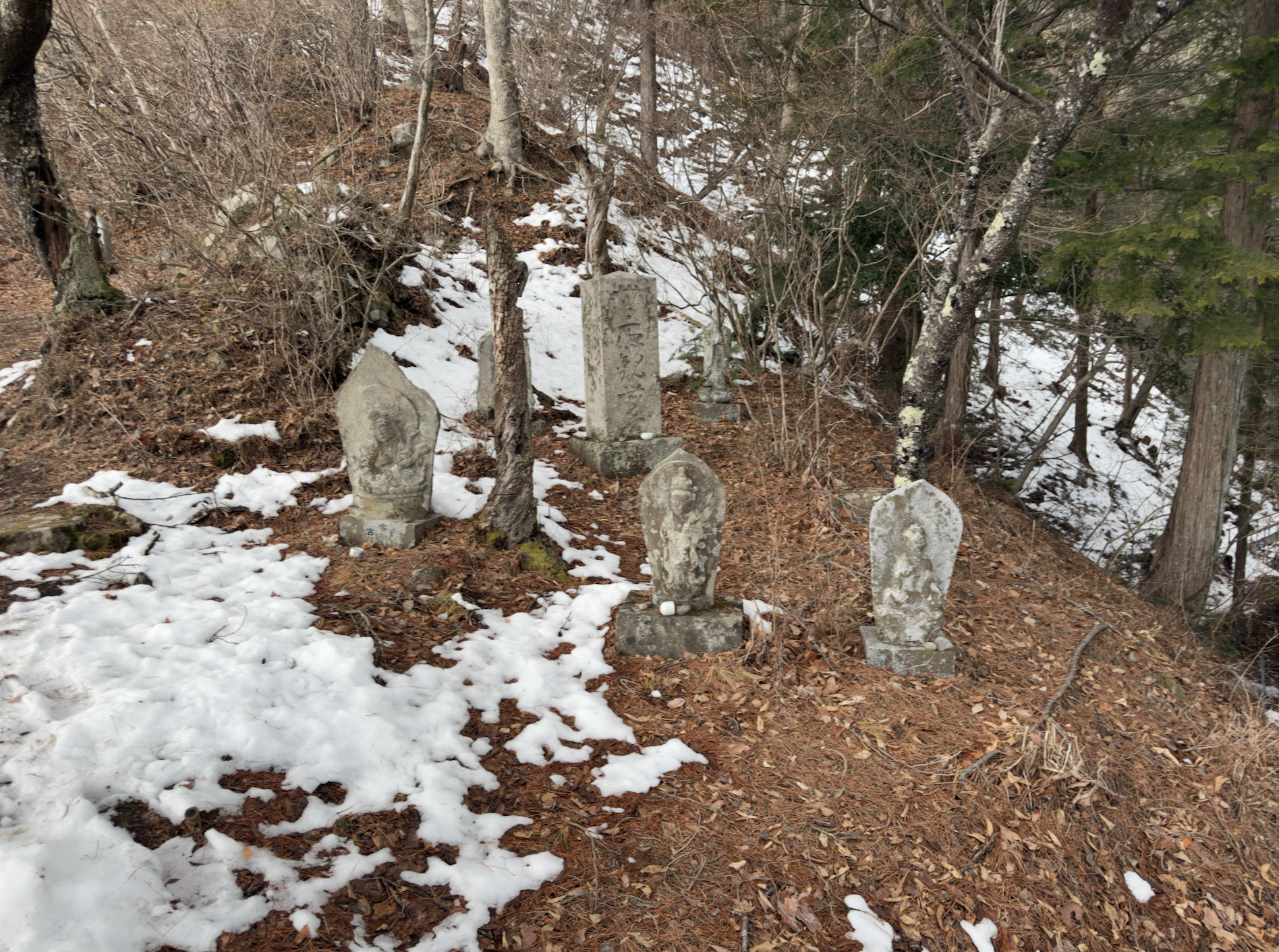 Mount Fuji Hidden Gem